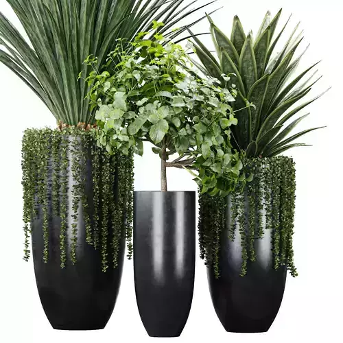 Indoor Artificial Office Plants Large Succulents 3D model