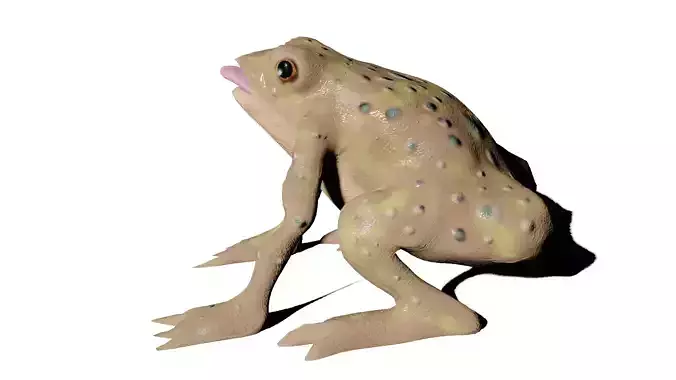 frog lowpoly