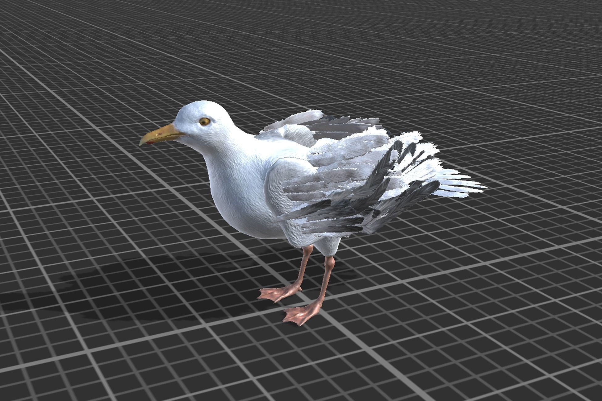 Seagull  Low-poly 3D model_4