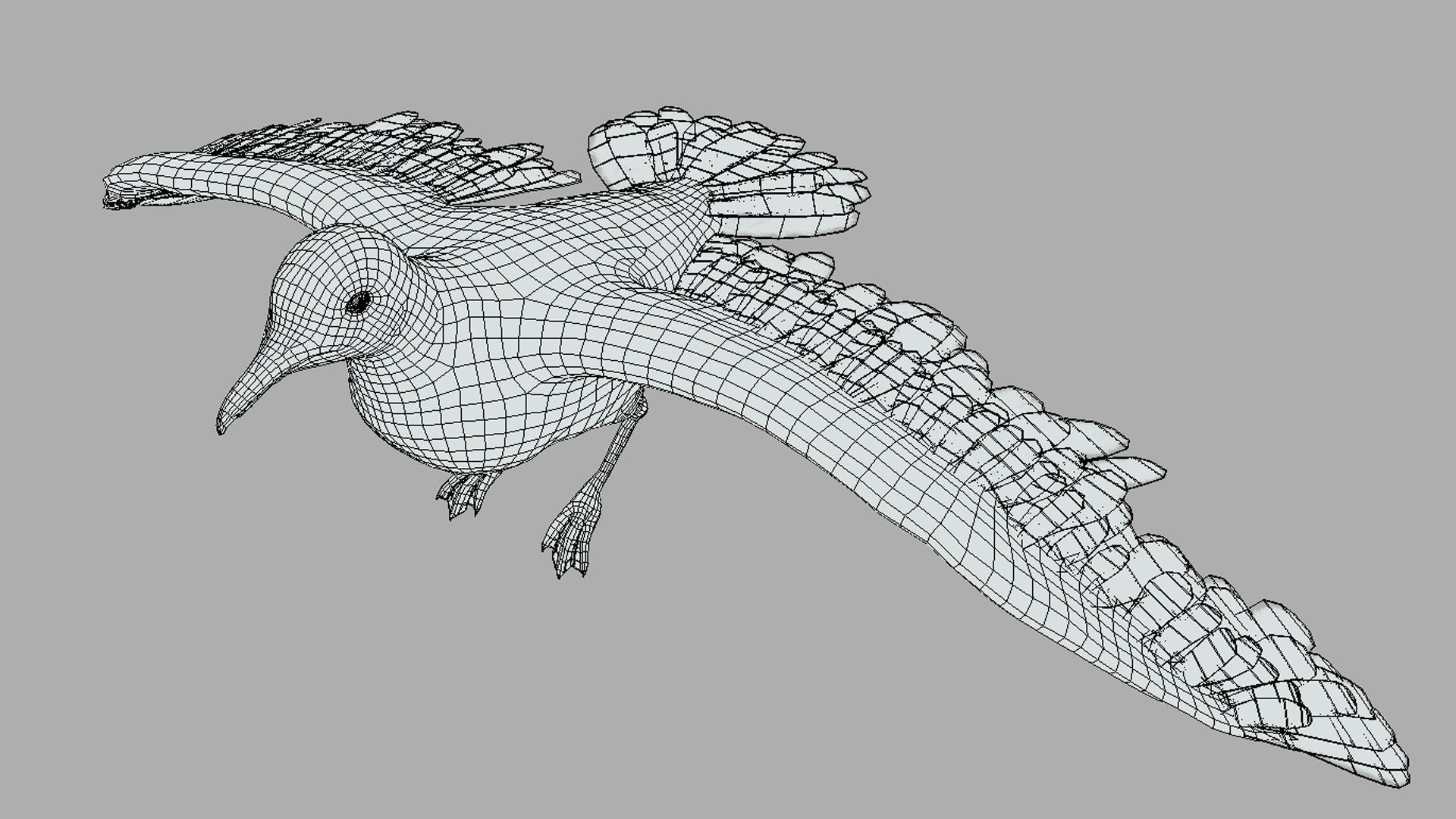 Seagull  Low-poly 3D model_3