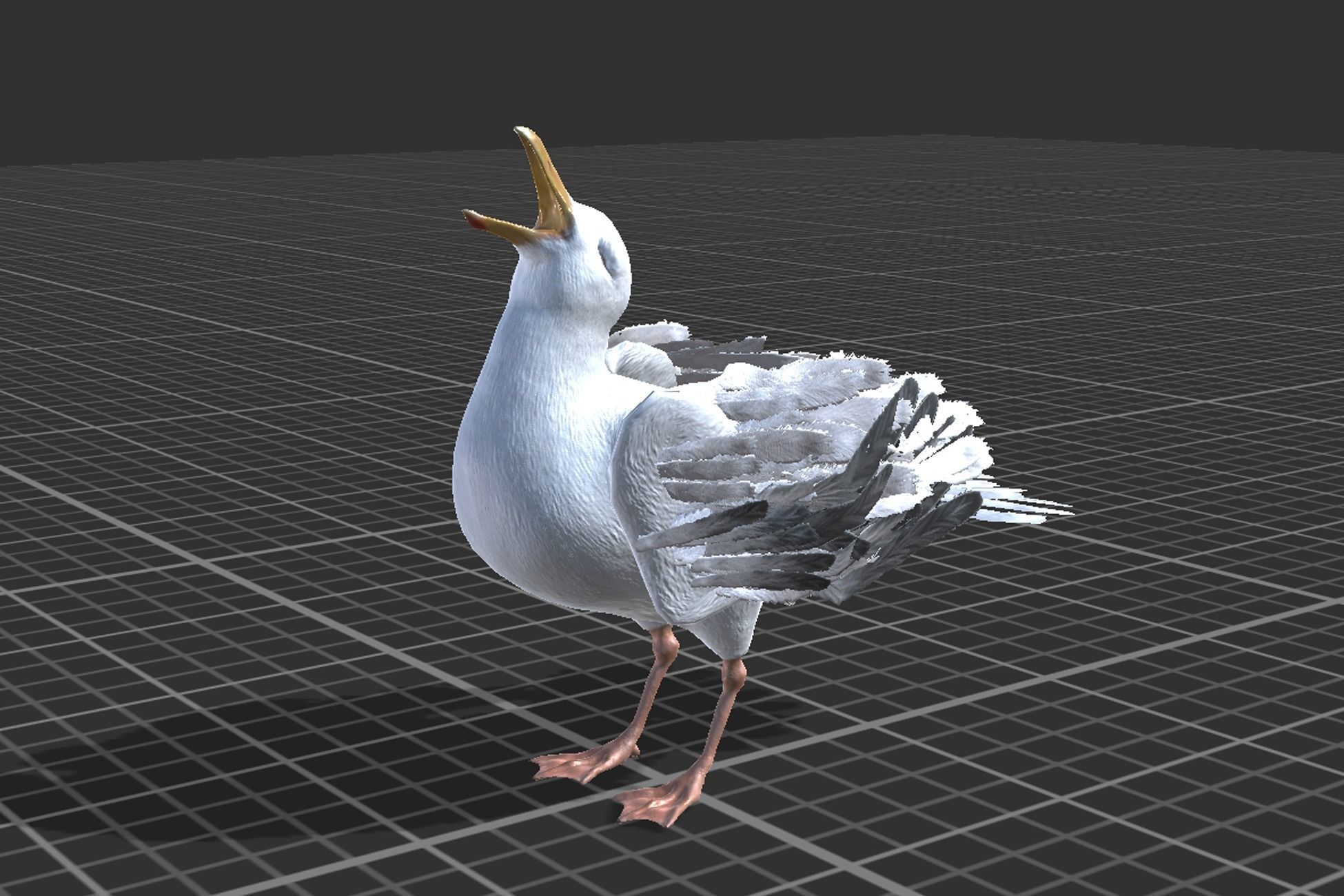 Seagull  Low-poly 3D model_8