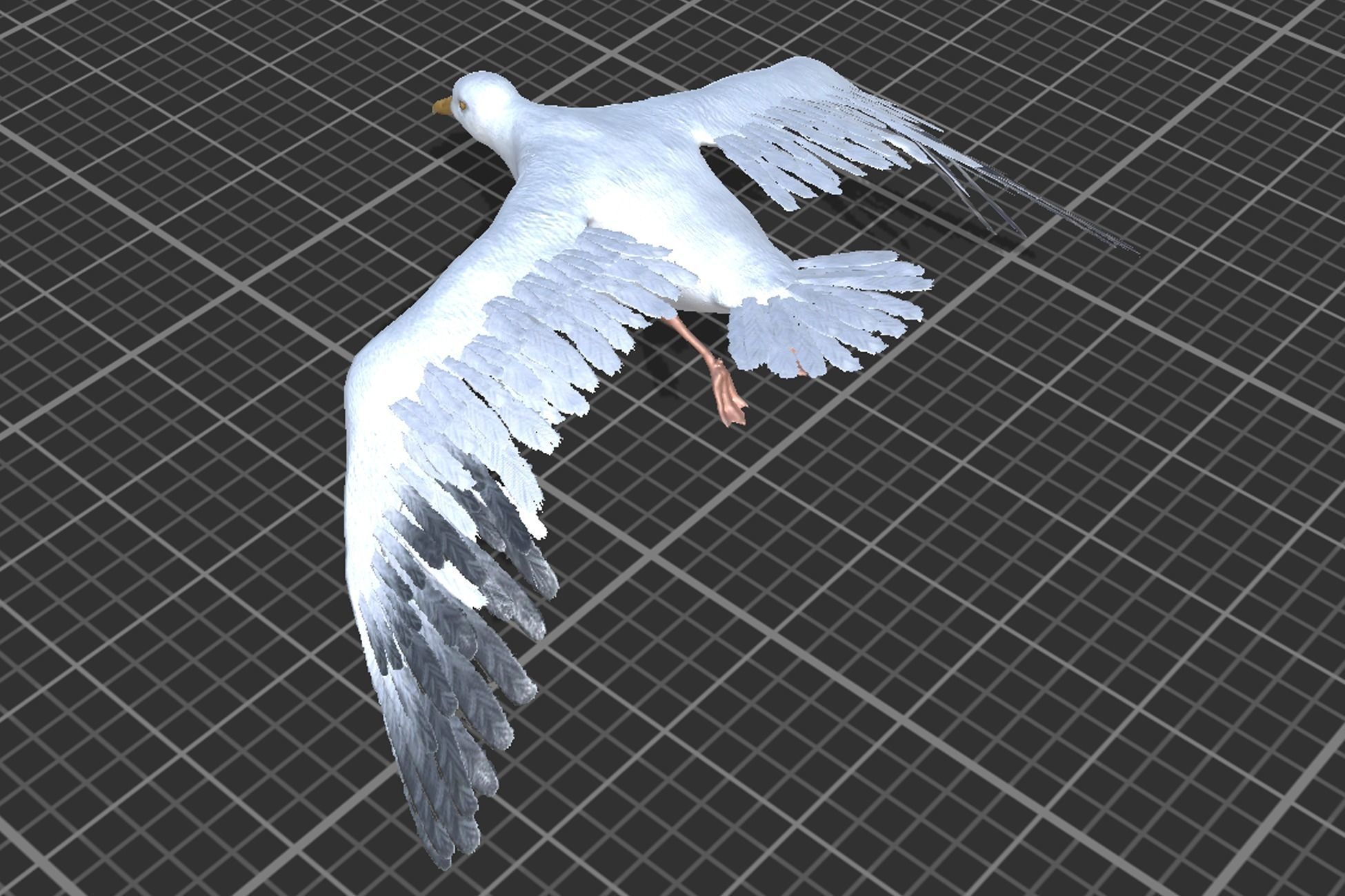 Seagull  Low-poly 3D model_6