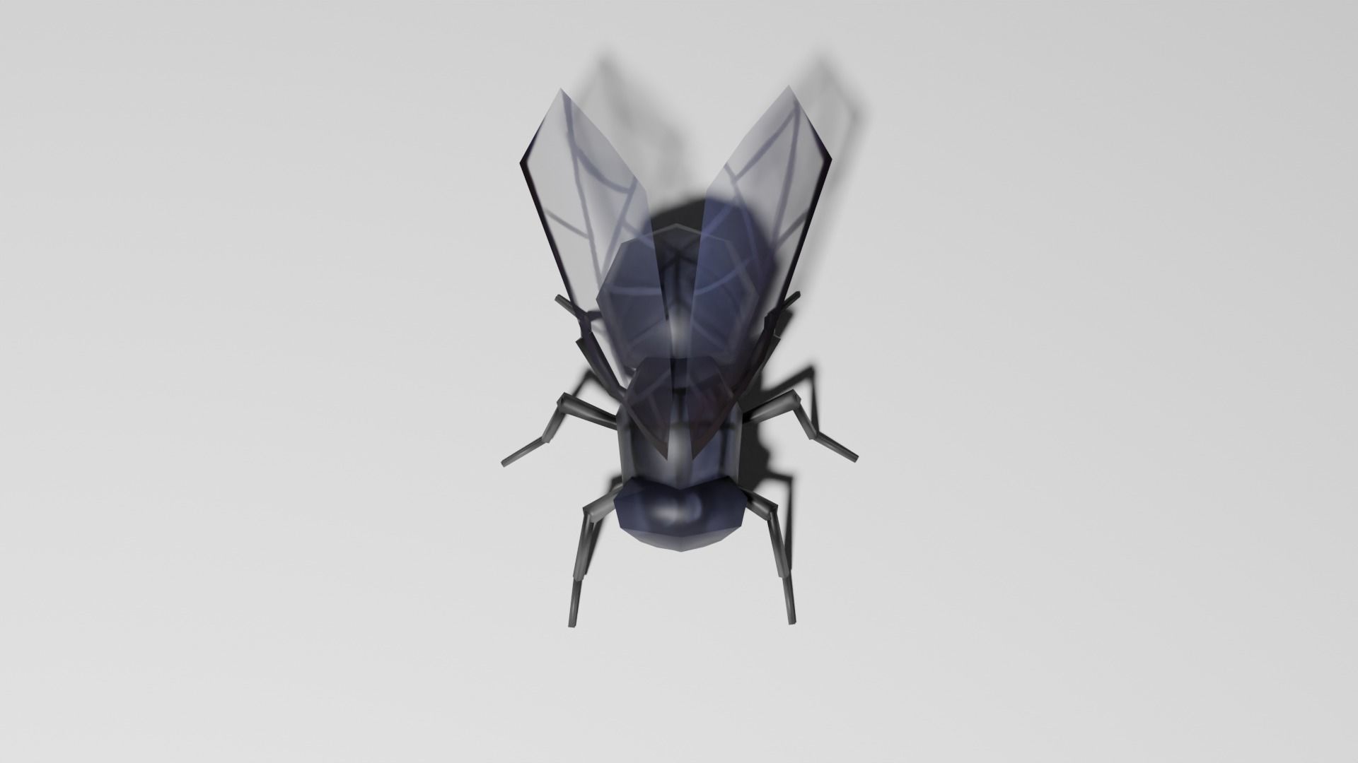 Insects Pack - Low Poly 3D model_25