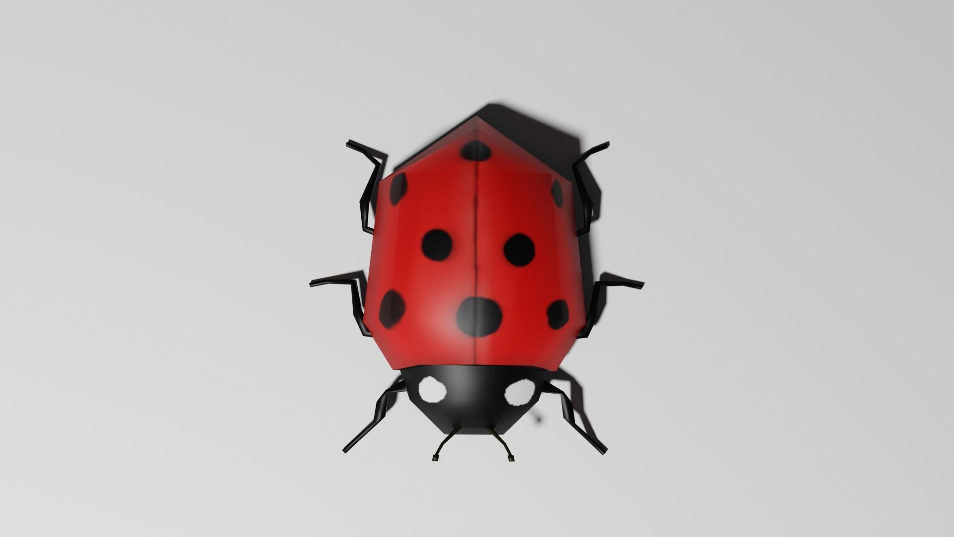 Insects Pack - Low Poly 3D model_29