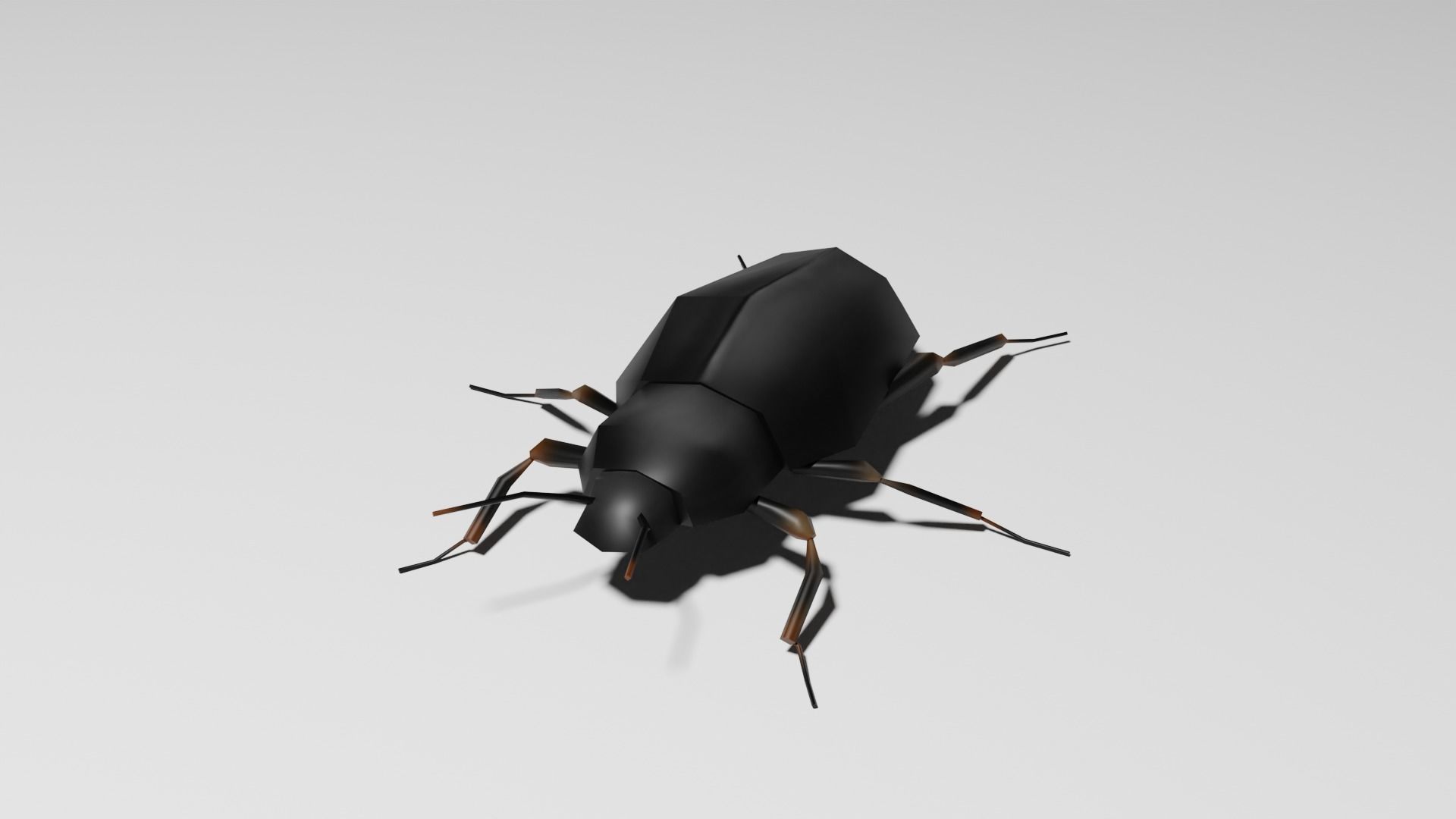 Insects Pack - Low Poly 3D model_17