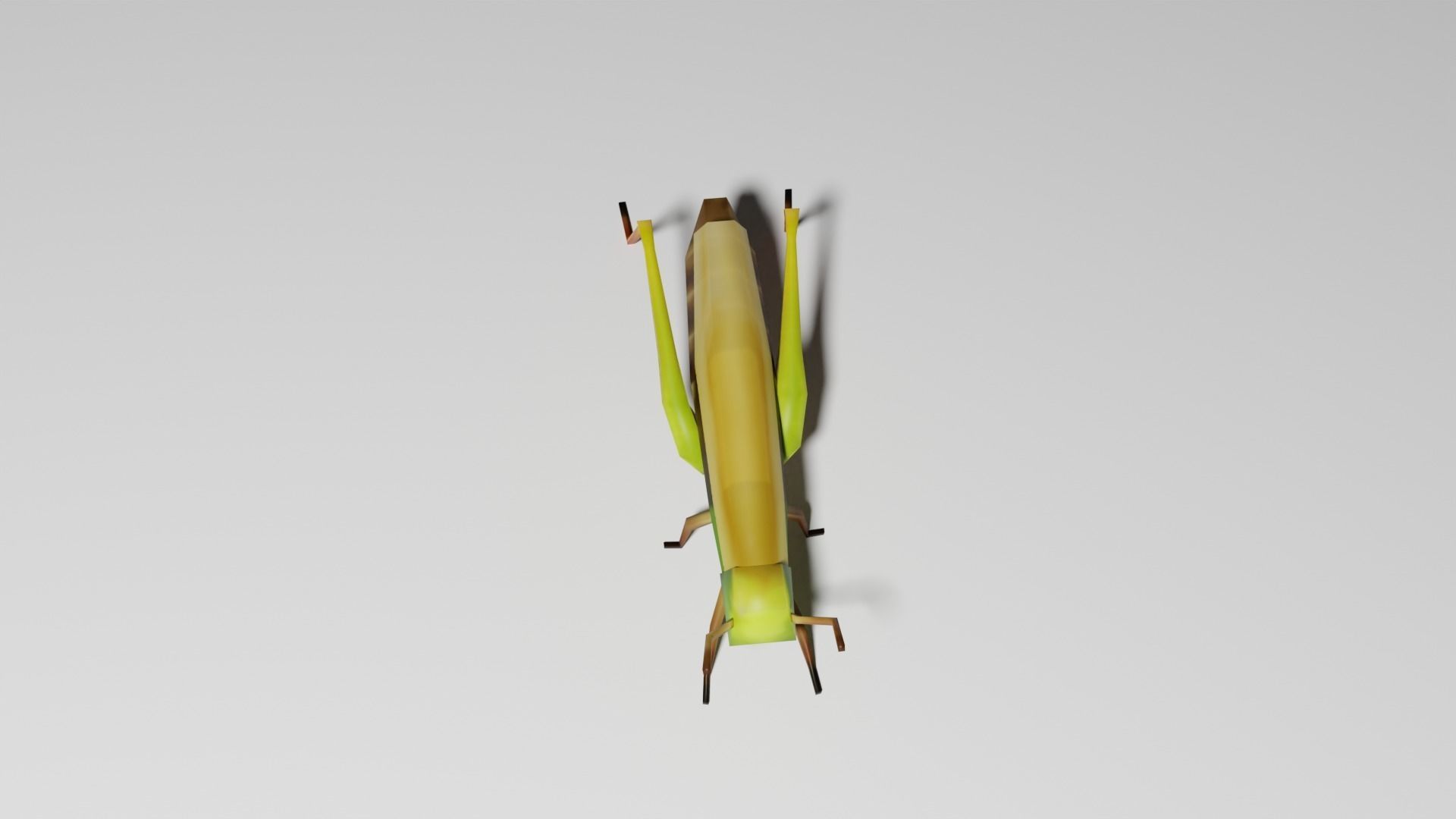 Insects Pack - Low Poly 3D model_27