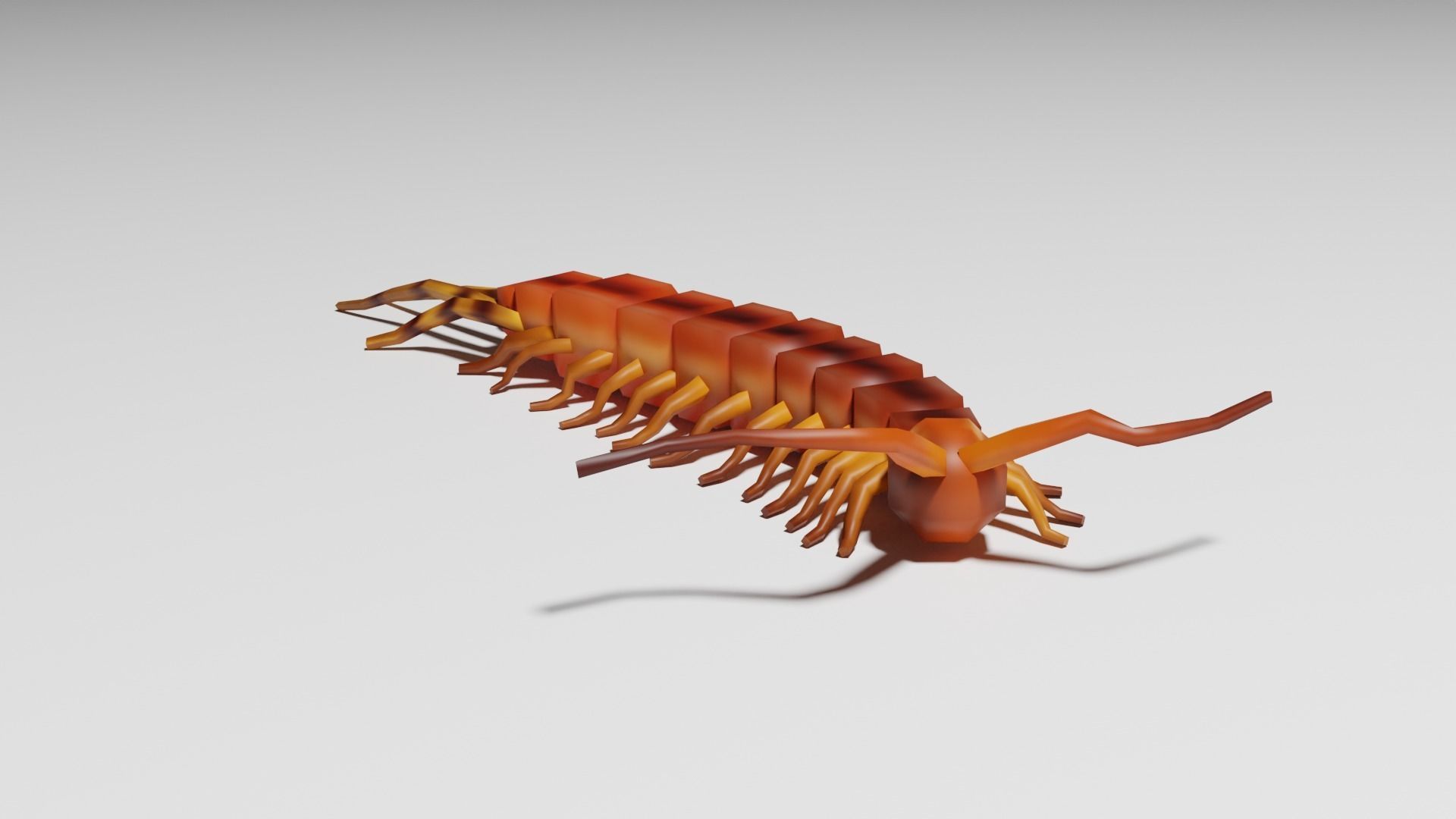 Insects Pack - Low Poly 3D model_19