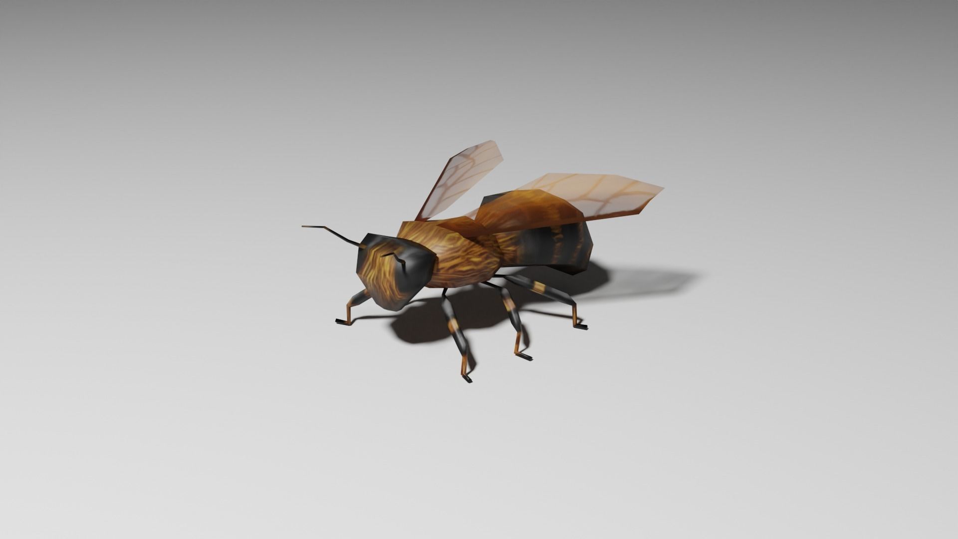 Insects Pack - Low Poly 3D model_7