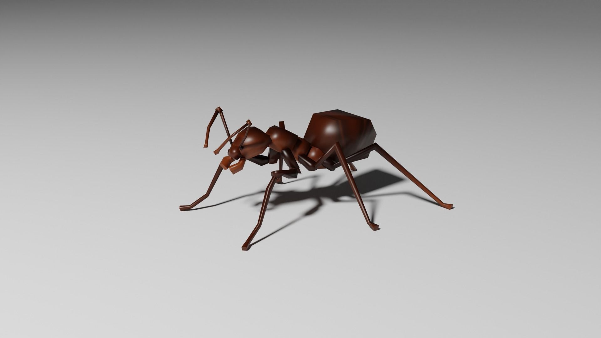Insects Pack - Low Poly 3D model_1