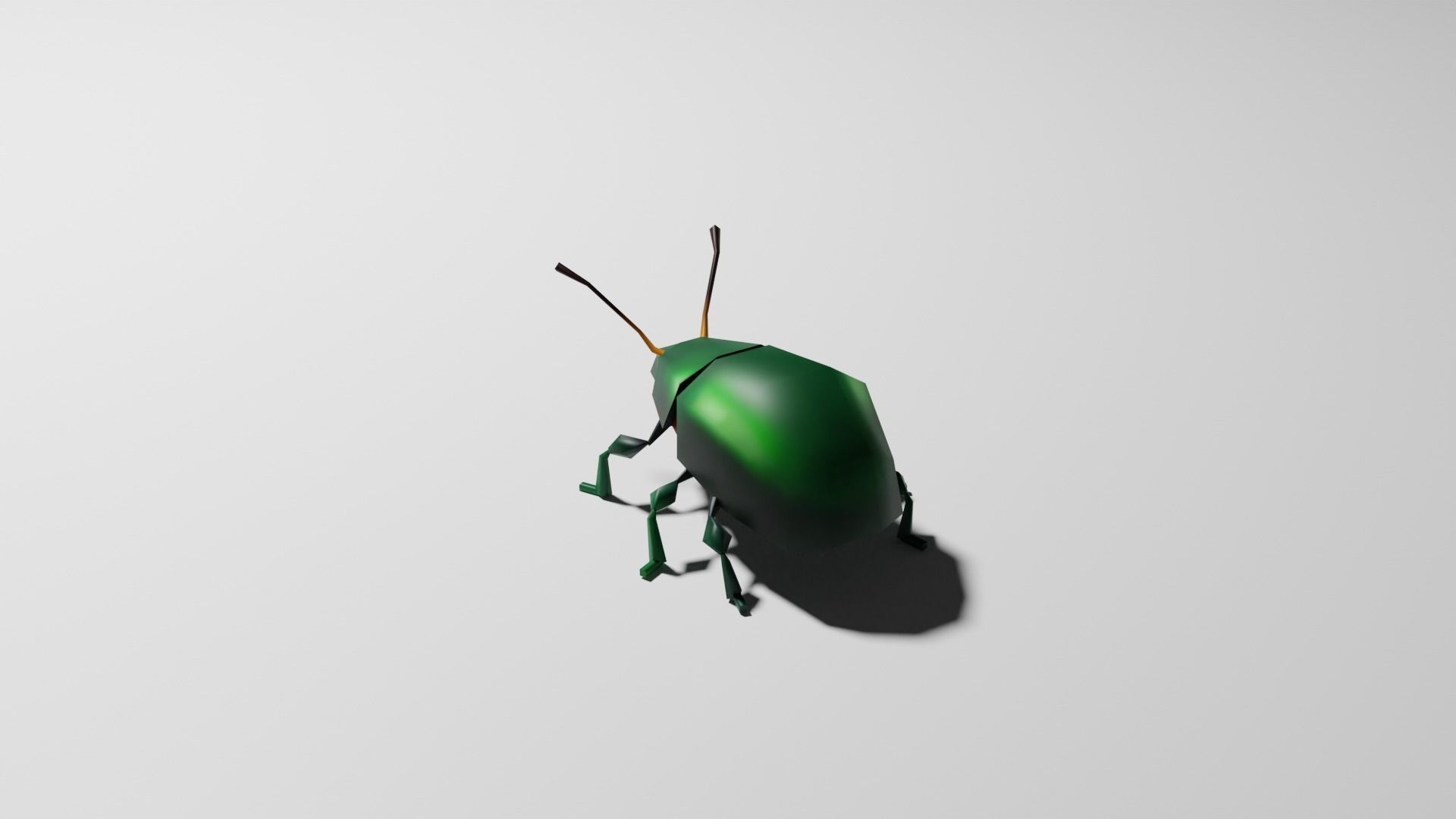 Insects Pack - Low Poly 3D model_12