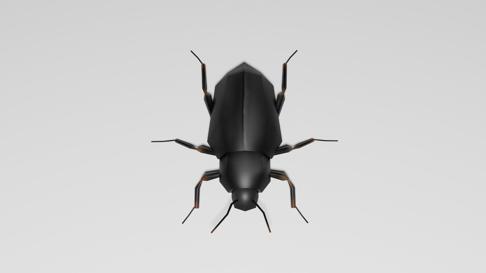 Insects Pack - Low Poly 3D model_18