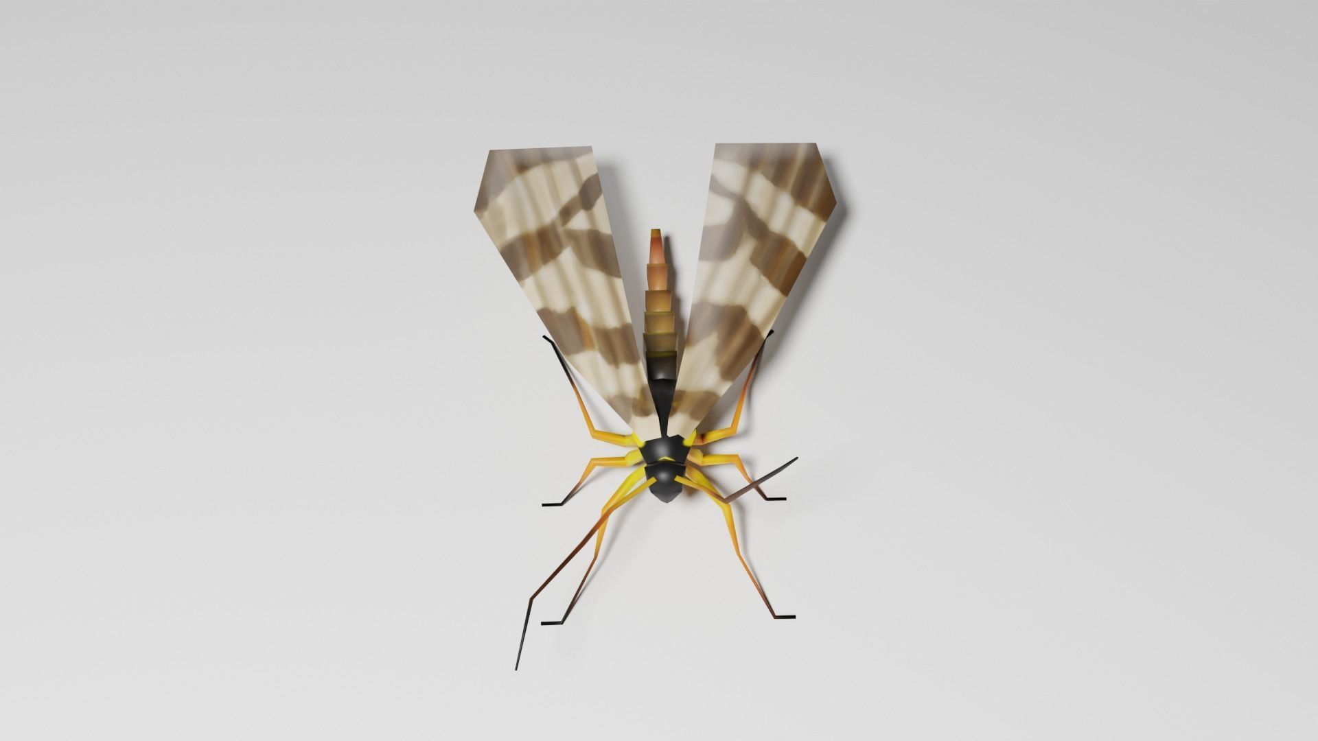 Insects Pack - Low Poly 3D model_23