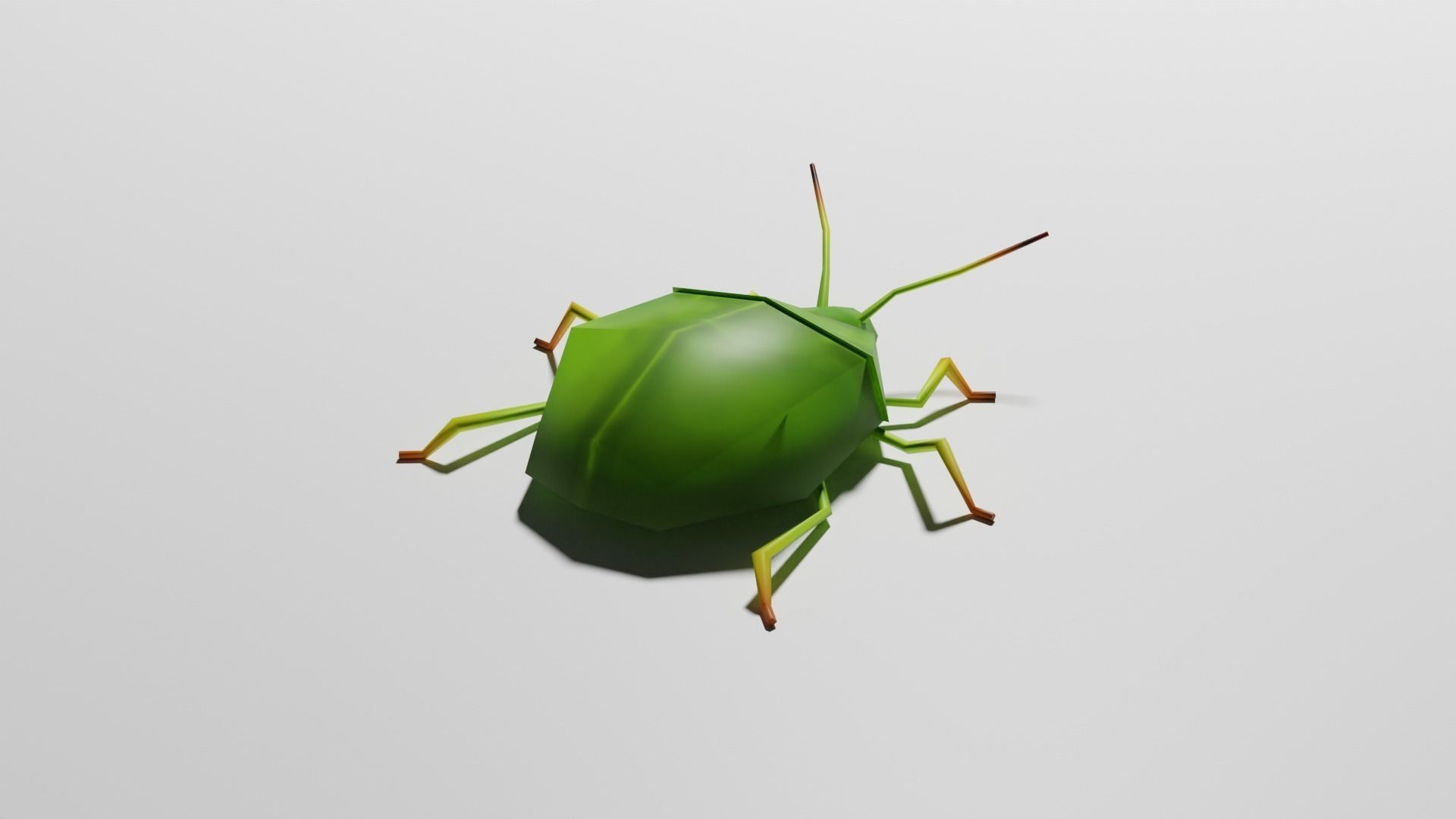 Insects Pack - Low Poly 3D model_10