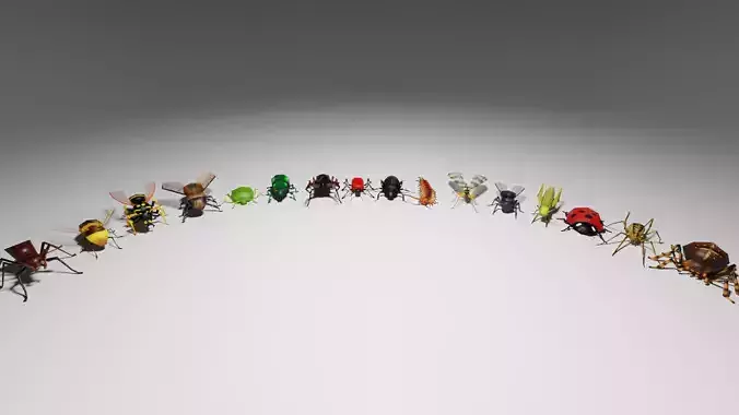 Insects Pack - Low Poly 3D model