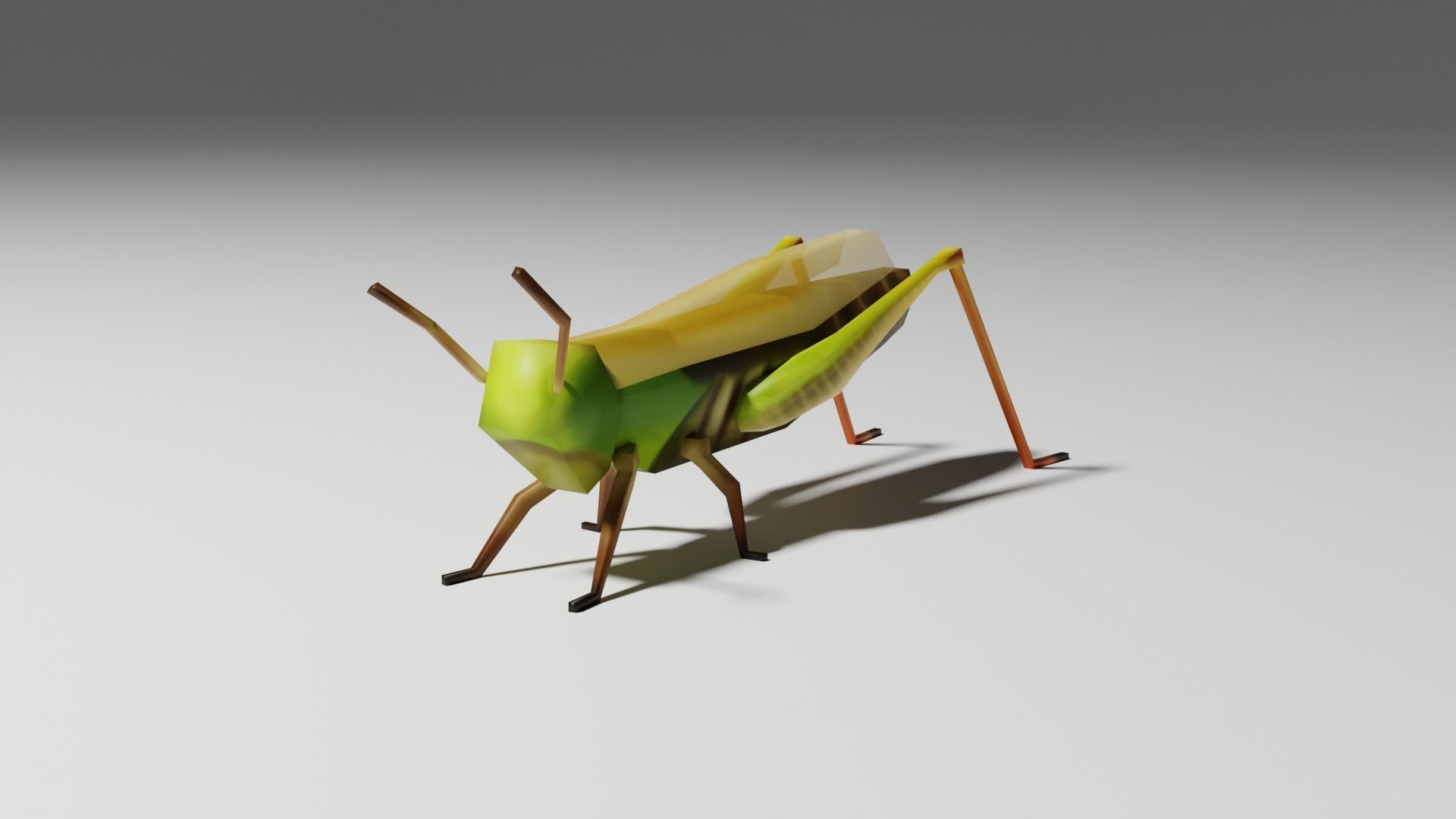 Insects Pack - Low Poly 3D model_26
