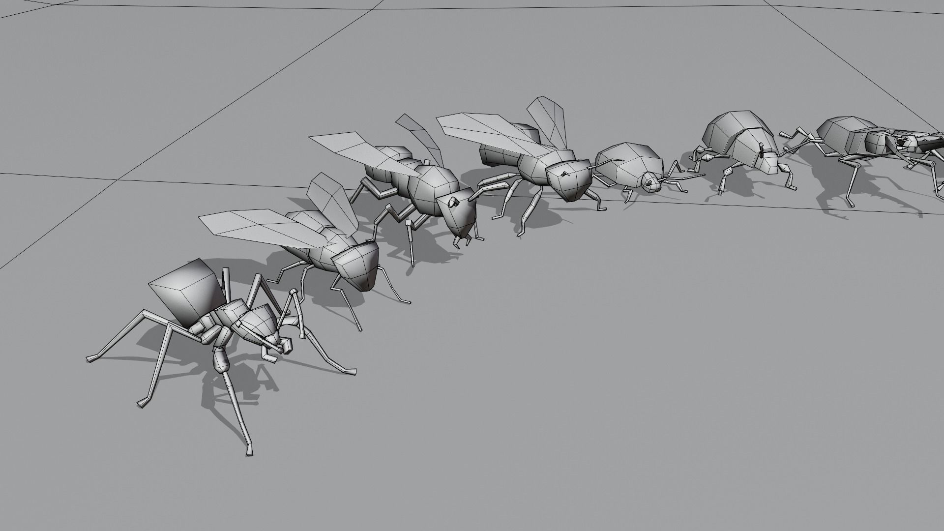 Insects Pack - Low Poly 3D model_34
