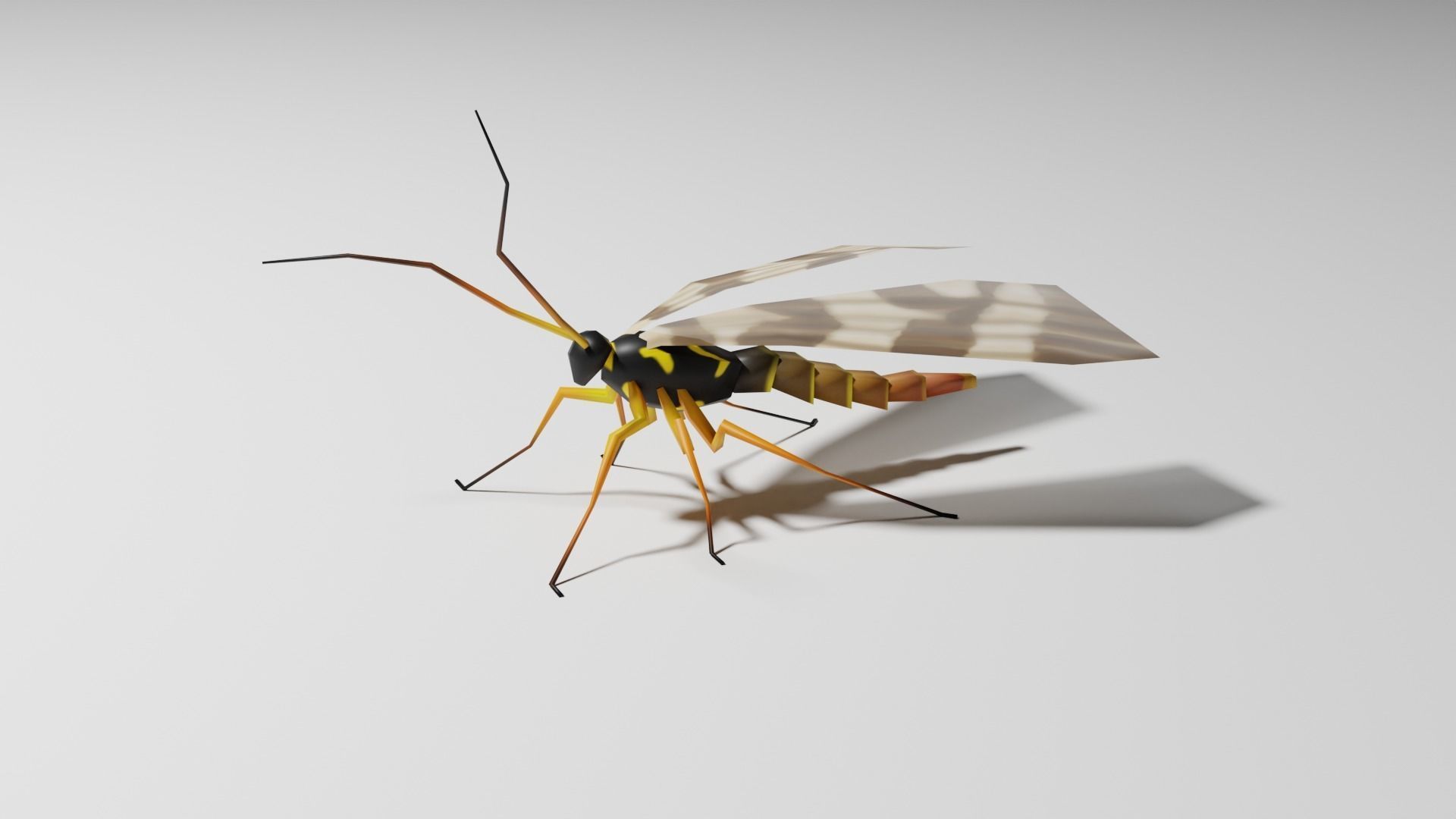 Insects Pack - Low Poly 3D model_22