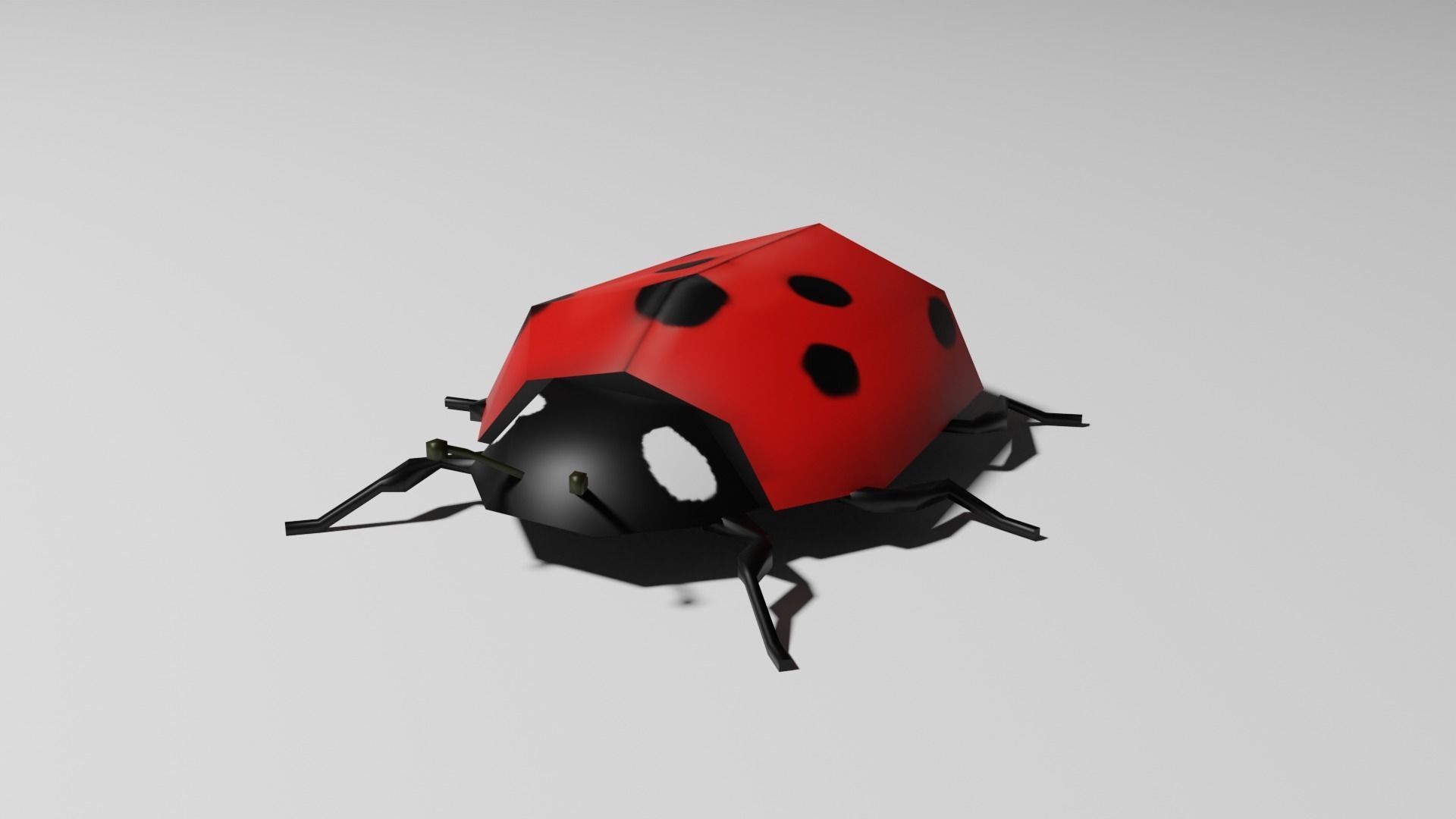 Insects Pack - Low Poly 3D model_28