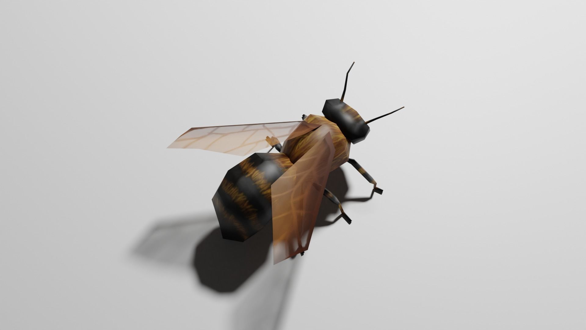Insects Pack - Low Poly 3D model_8