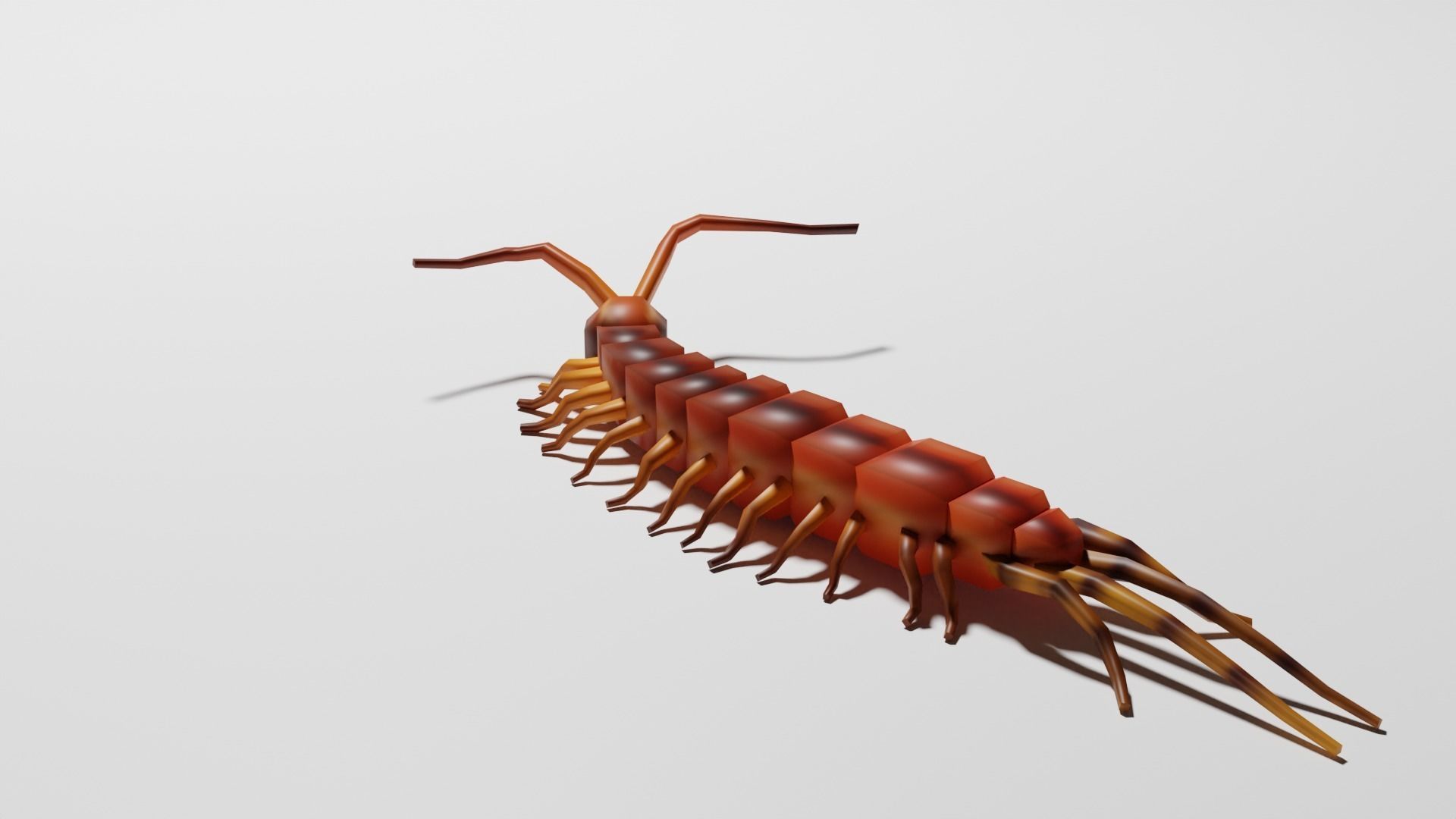 Insects Pack - Low Poly 3D model_20