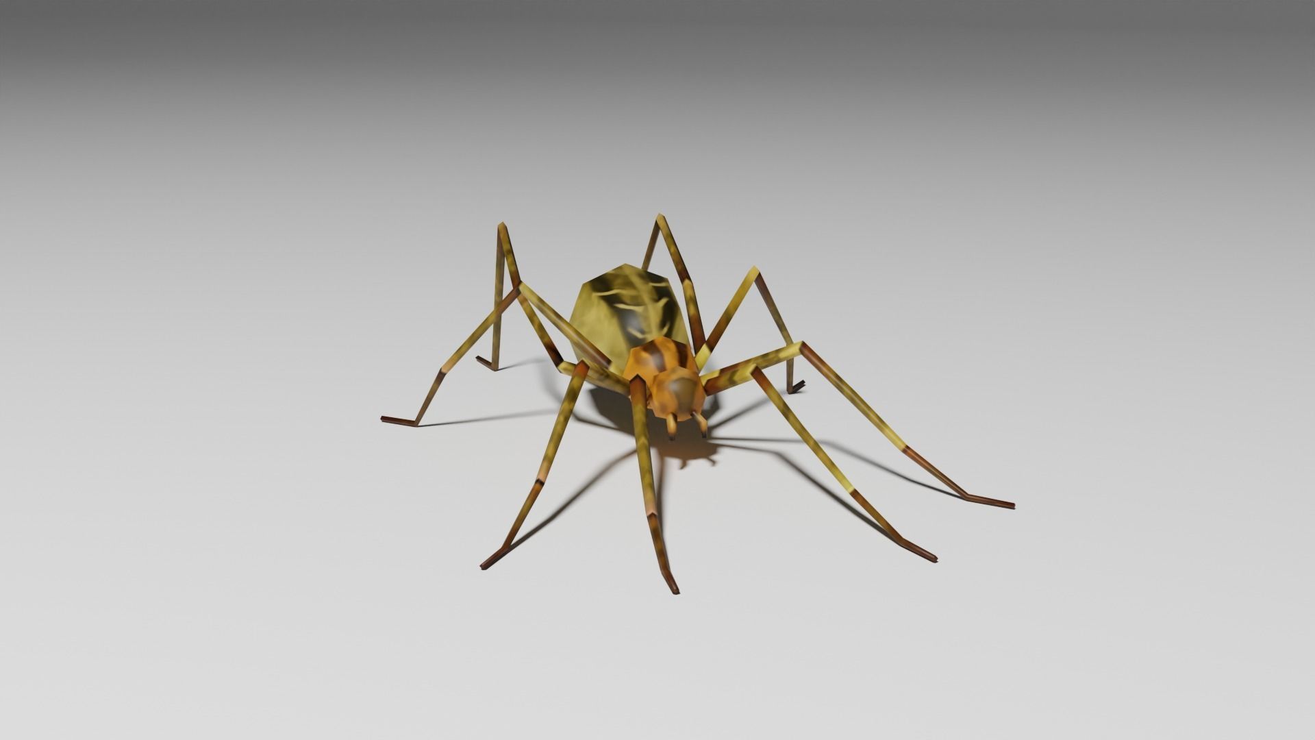 Insects Pack - Low Poly 3D model_30