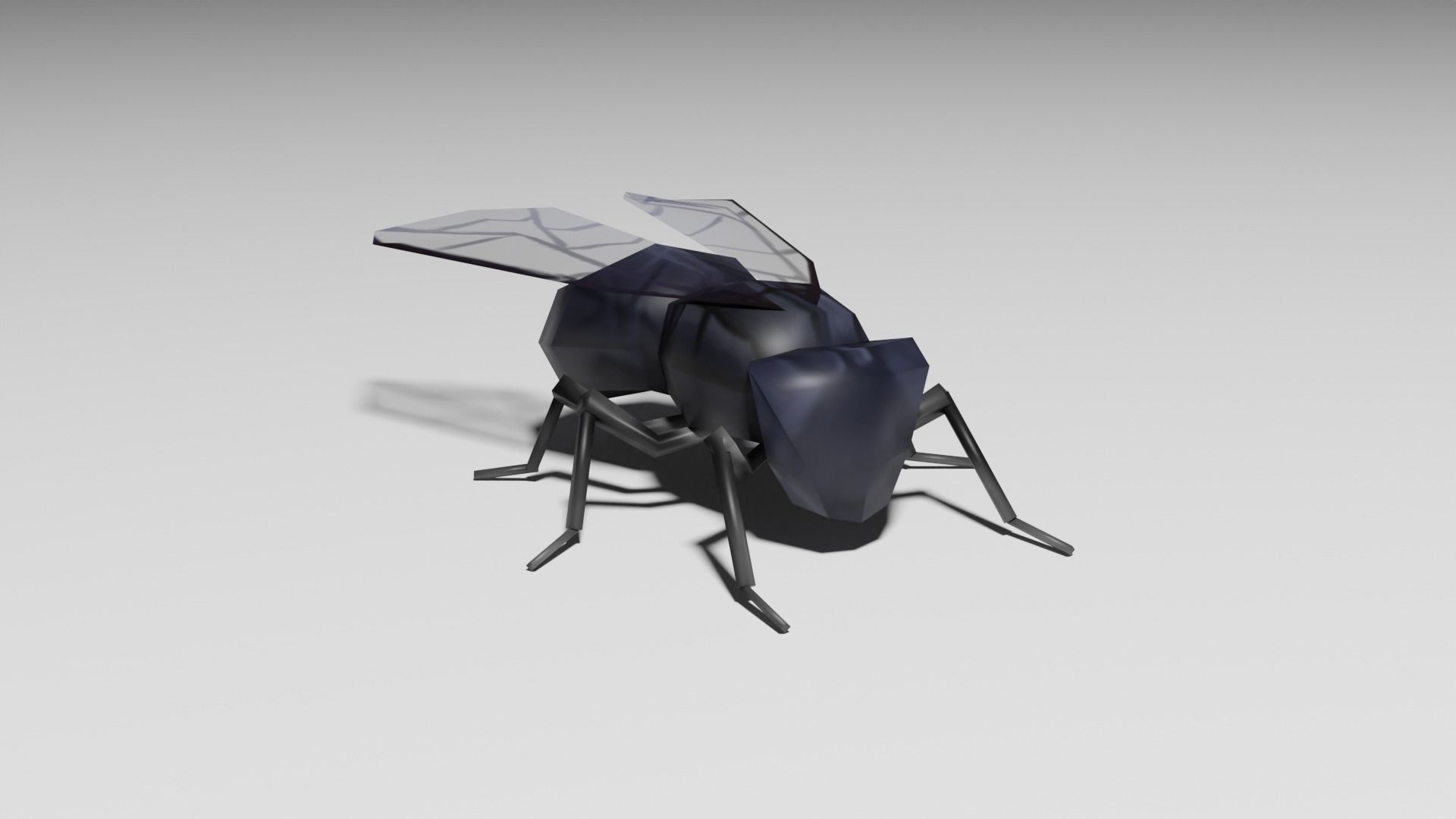 Insects Pack - Low Poly 3D model_24