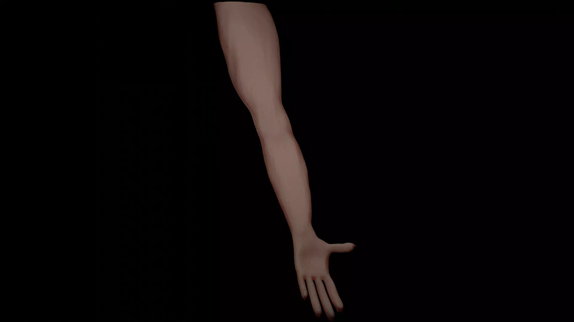 3D arm simple arm models with a realistic texture 3D model