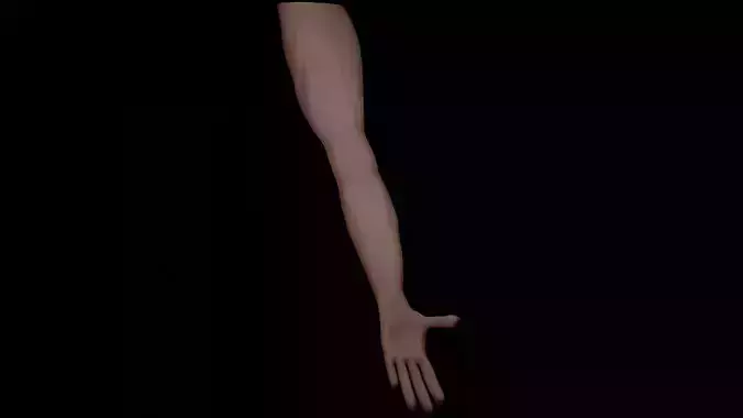 3D arm simple arm models with a realistic texture