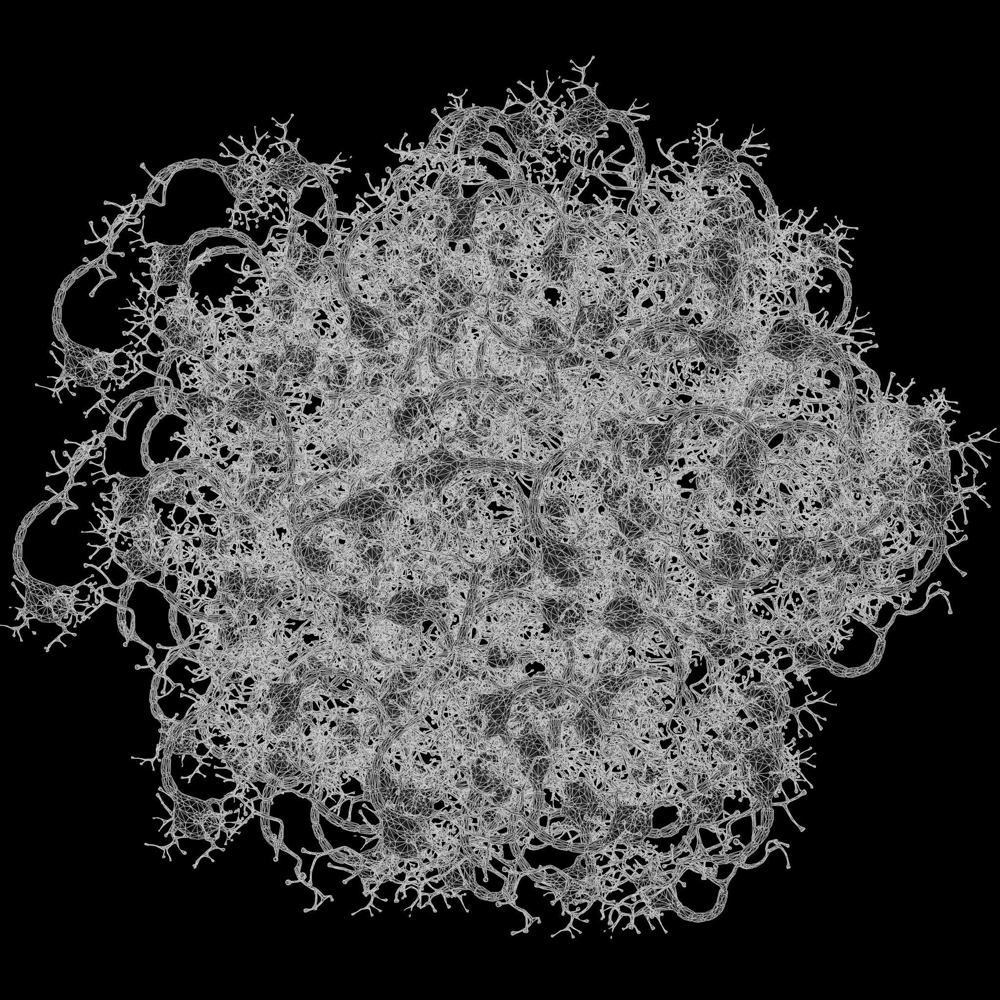 Neuron Human 3D model_11