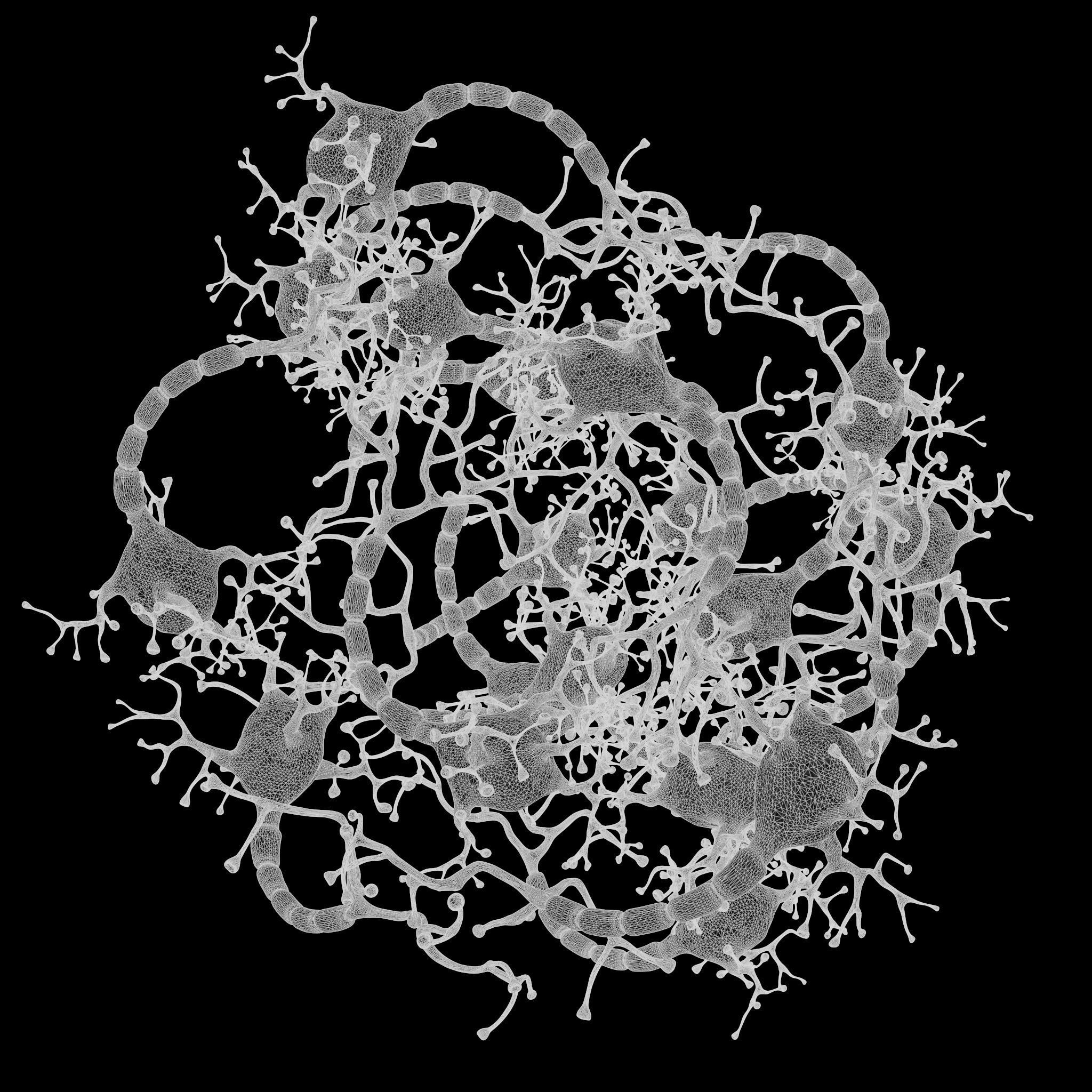 Neuron Human 3D model_9