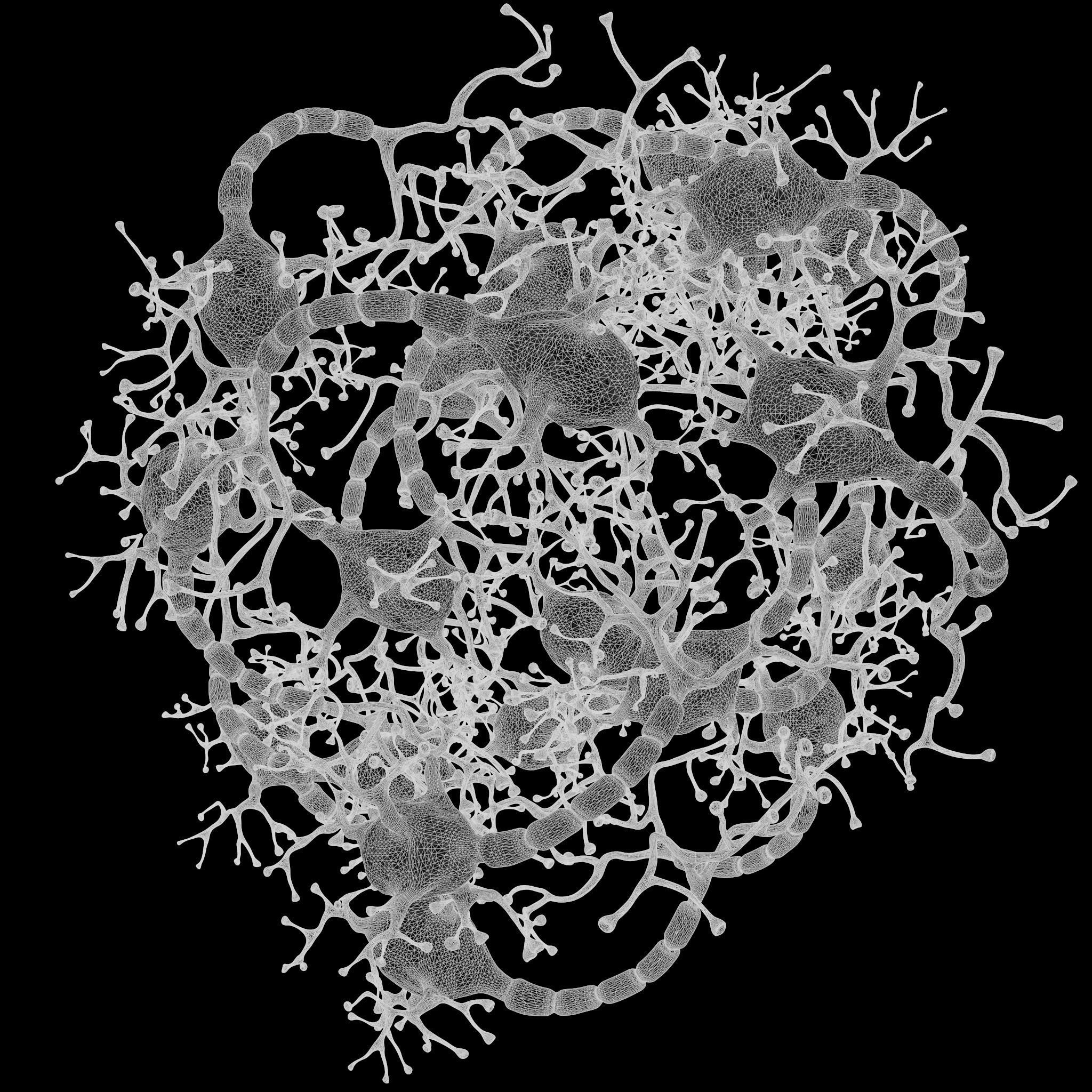 Neuron Human 3D model_10