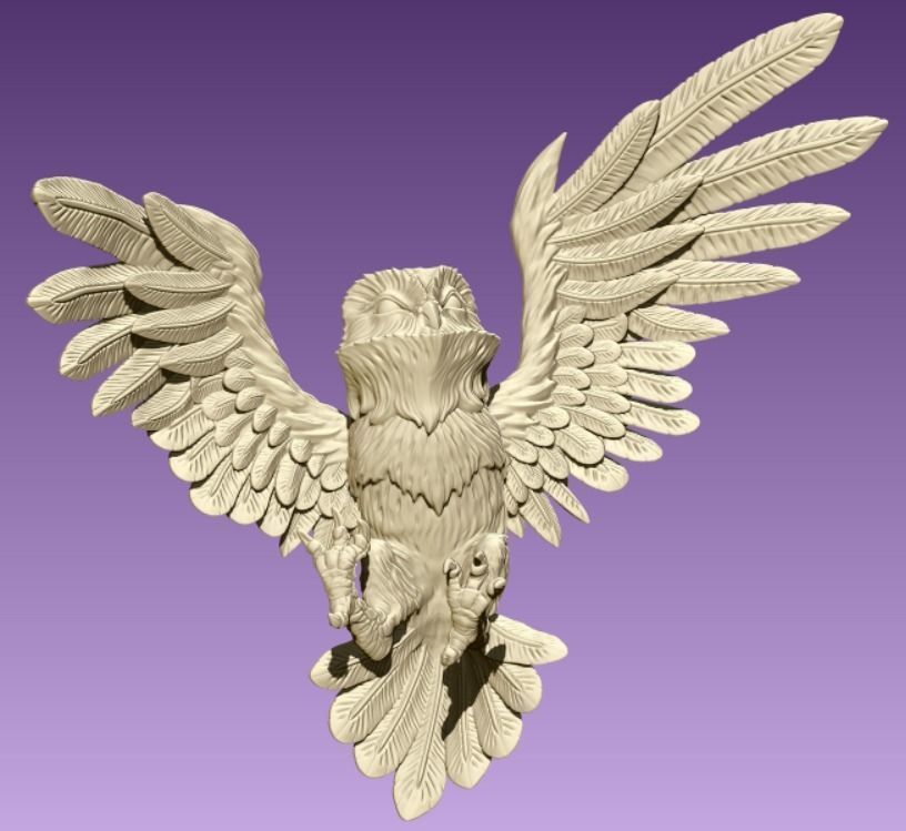 Barn Owl 3D print model_8