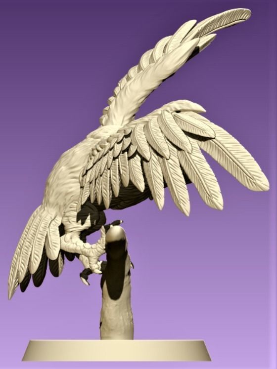 Barn Owl 3D print model_2