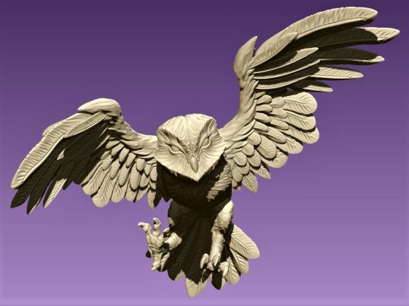 Barn Owl 3D print model_3