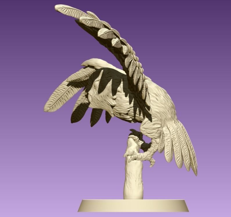 Barn Owl 3D print model_6