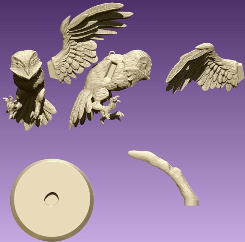 Barn Owl 3D print model_1