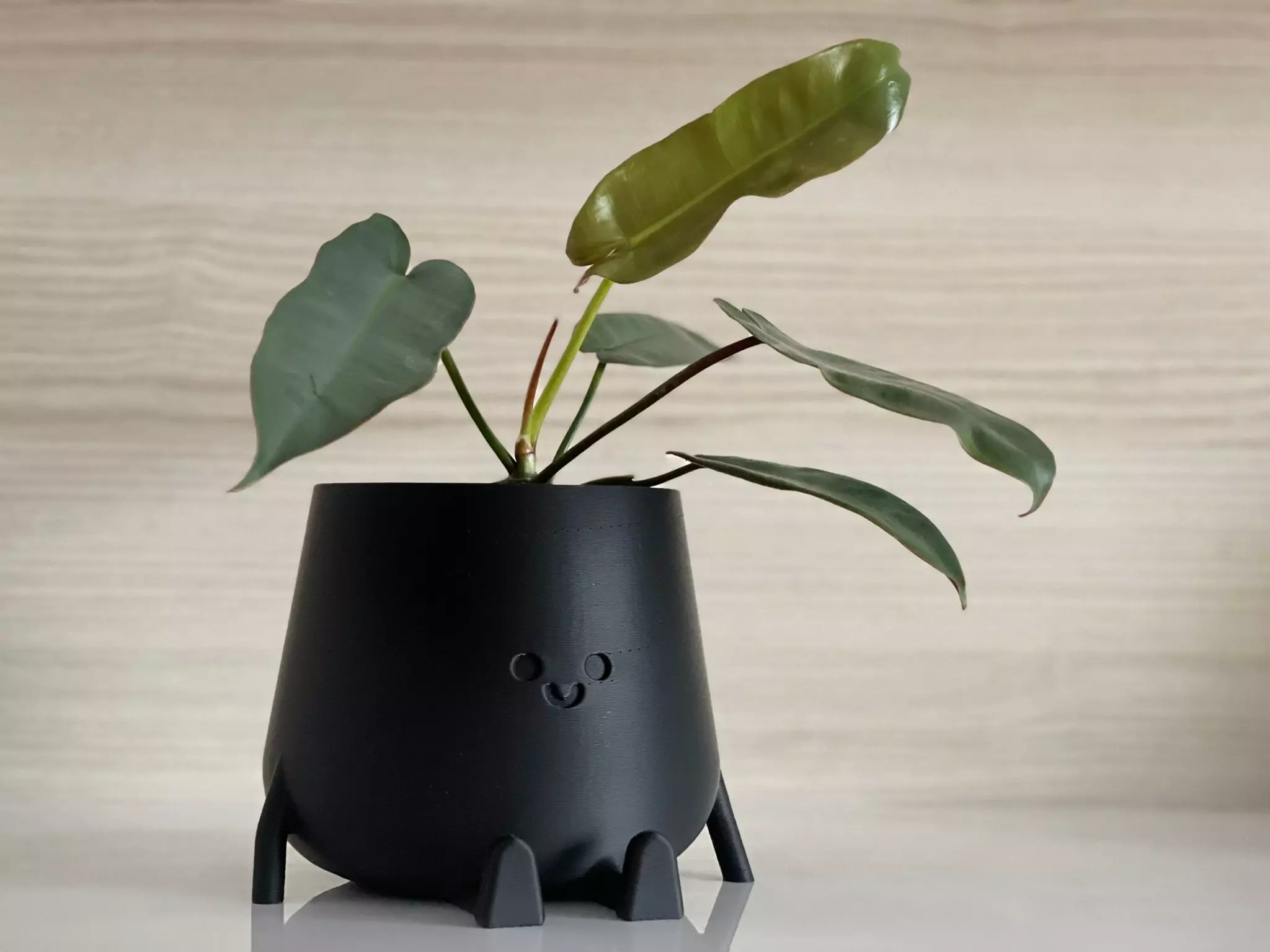 3D Printed Sitting Smiley Pot 3D print model_0