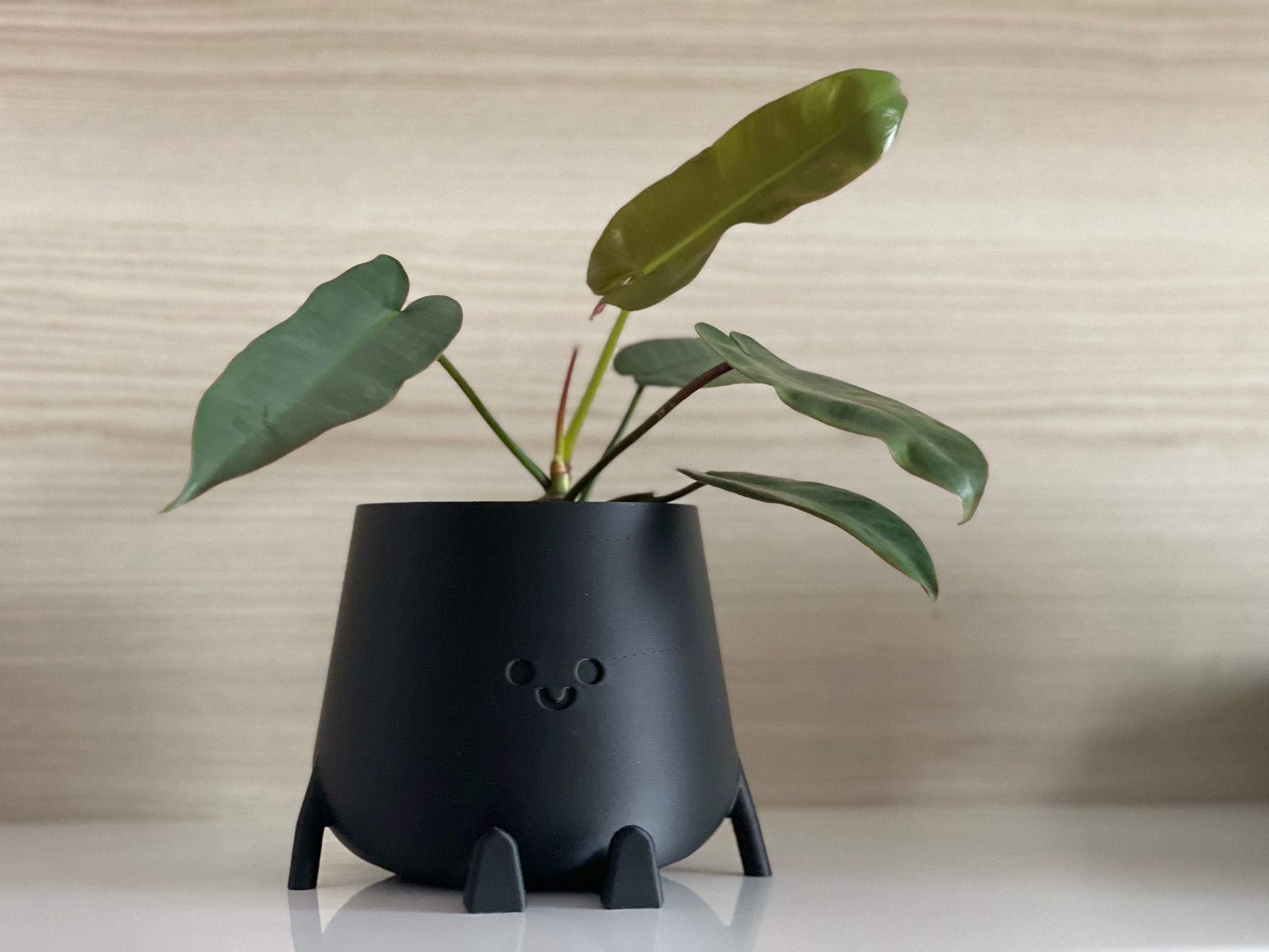 3D Printed Sitting Smiley Pot 3D print model_1