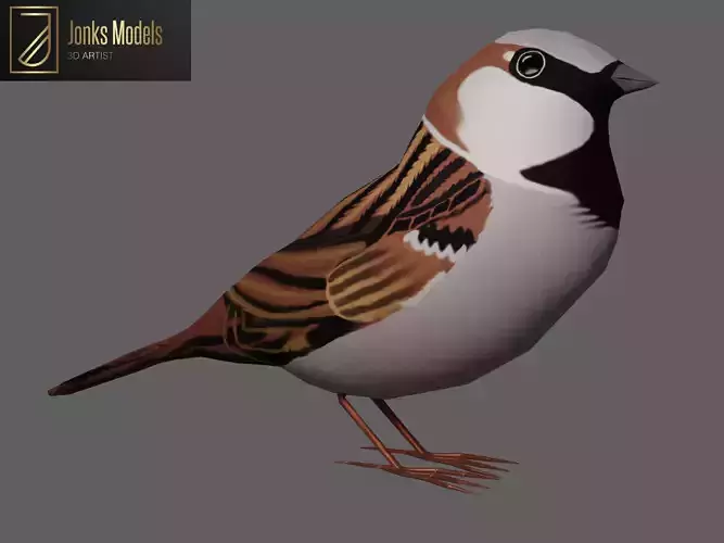 Sparrow Low-poly 3D model