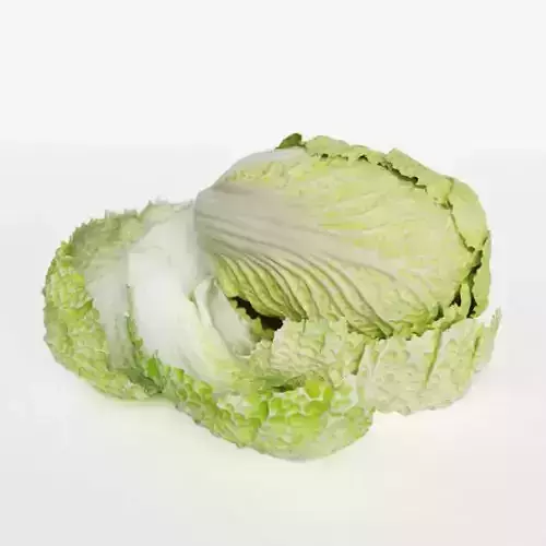 Pok Choi Cabbage 3D model