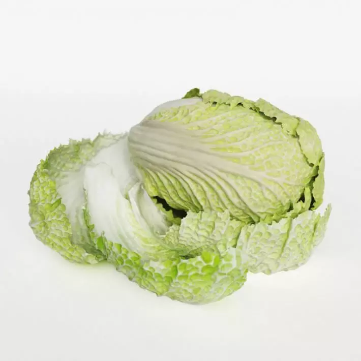 Pok Choi Cabbage 3D model_0