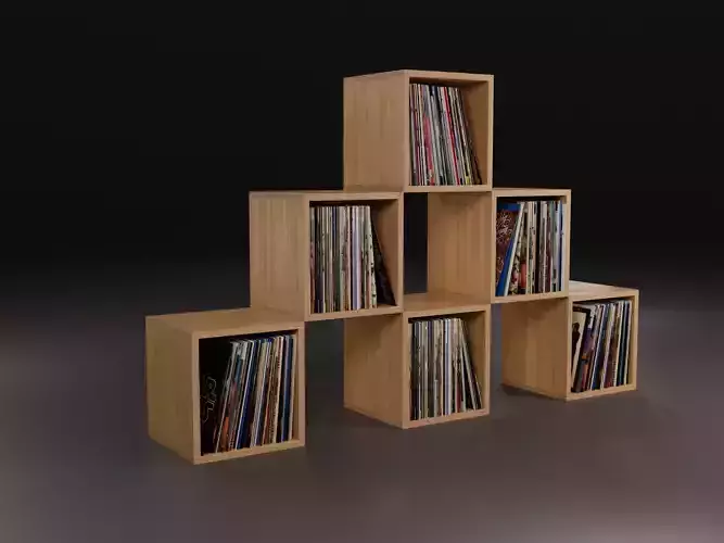 Vinyl Storage No22