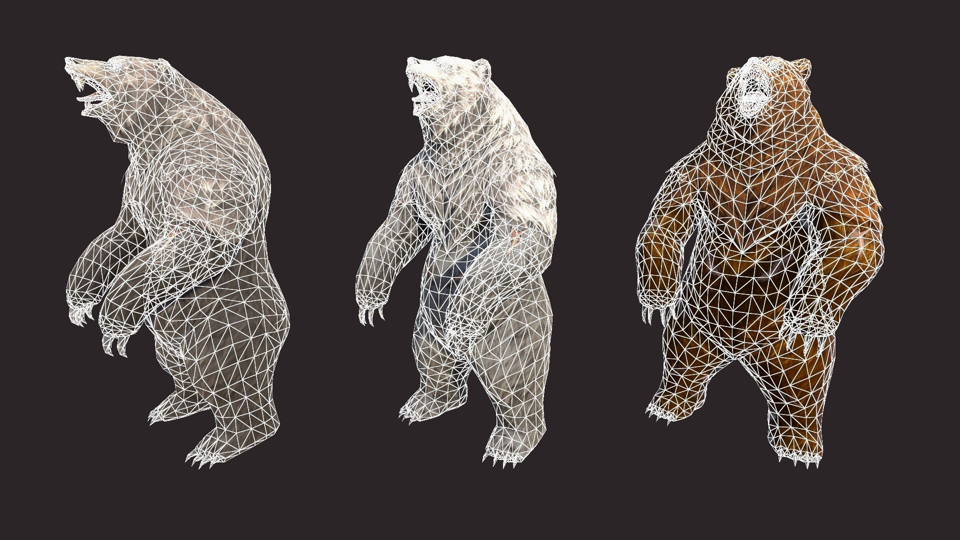 Bears bear Low-poly 3D model_14