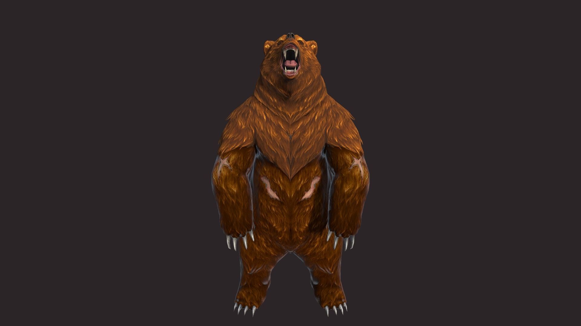 Bears bear Low-poly 3D model_3