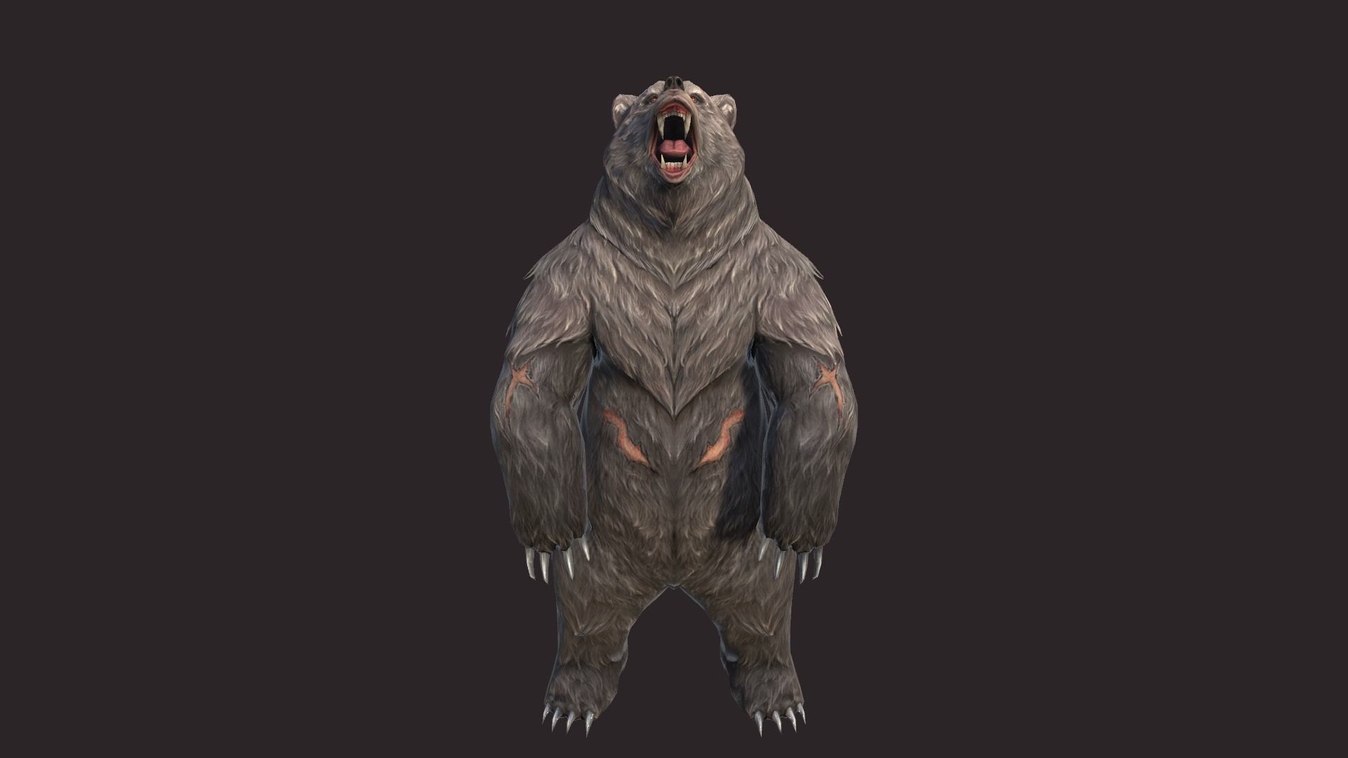 Bears bear Low-poly 3D model_1