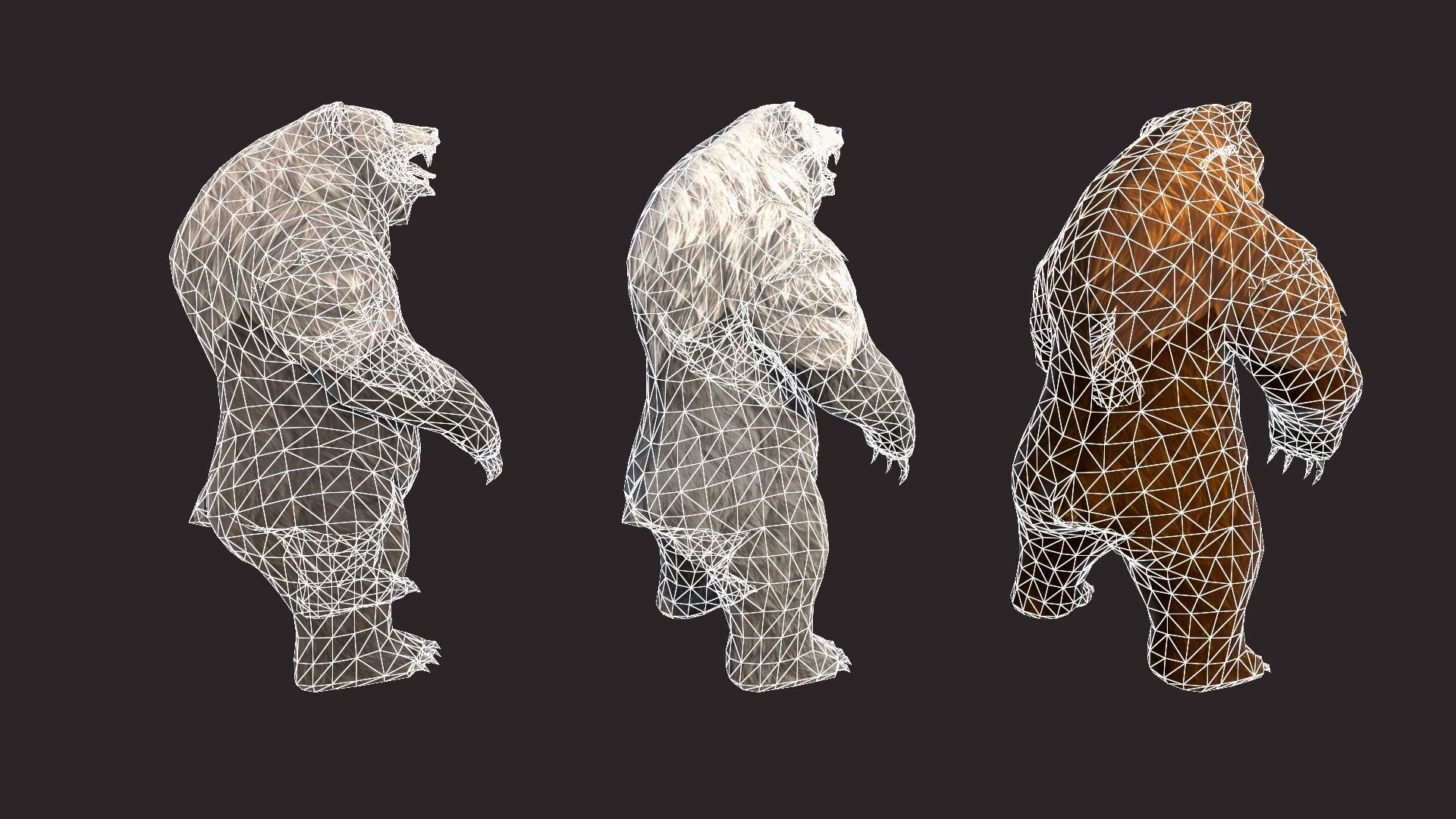 Bears bear Low-poly 3D model_19
