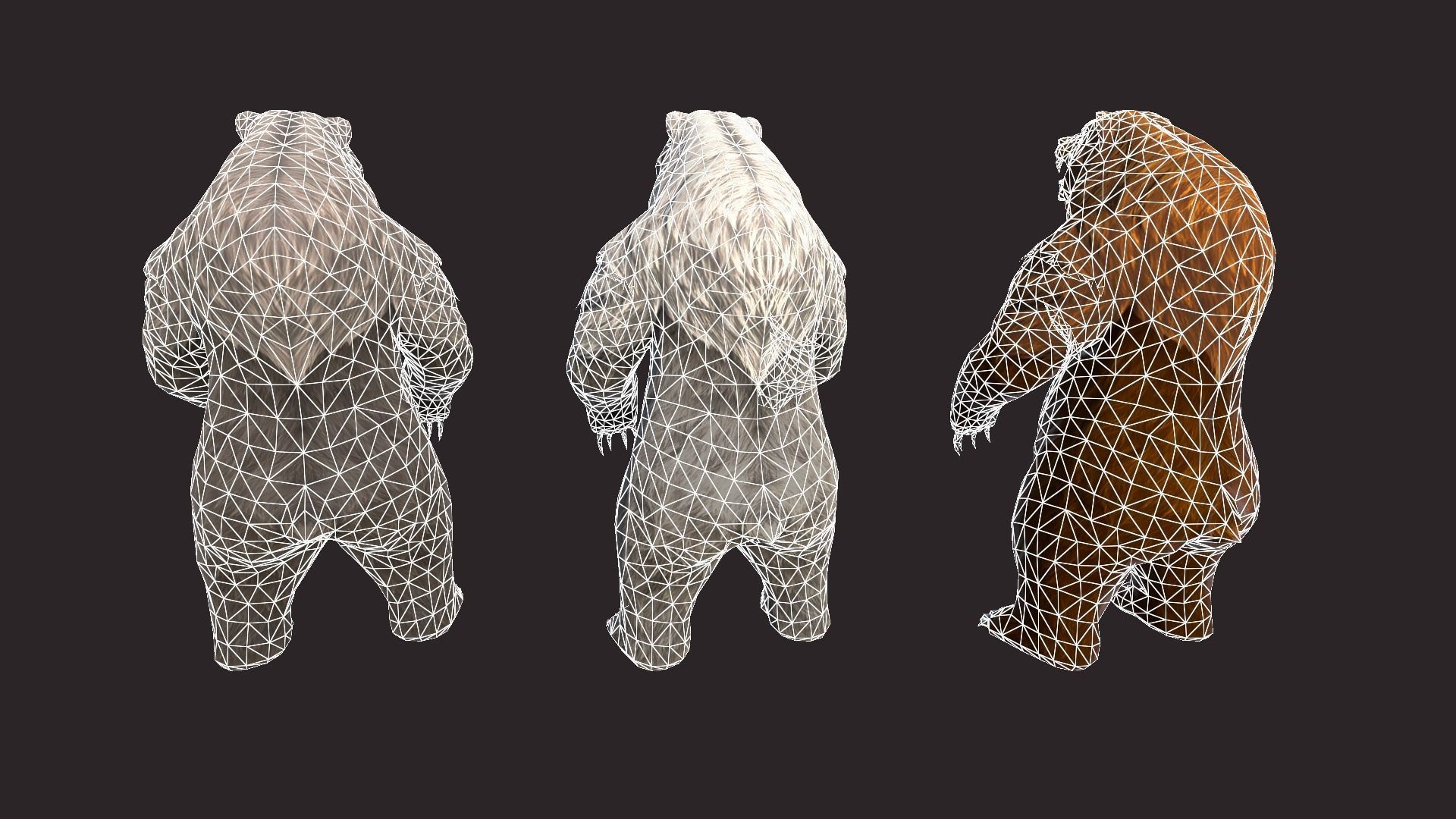 Bears bear Low-poly 3D model_17