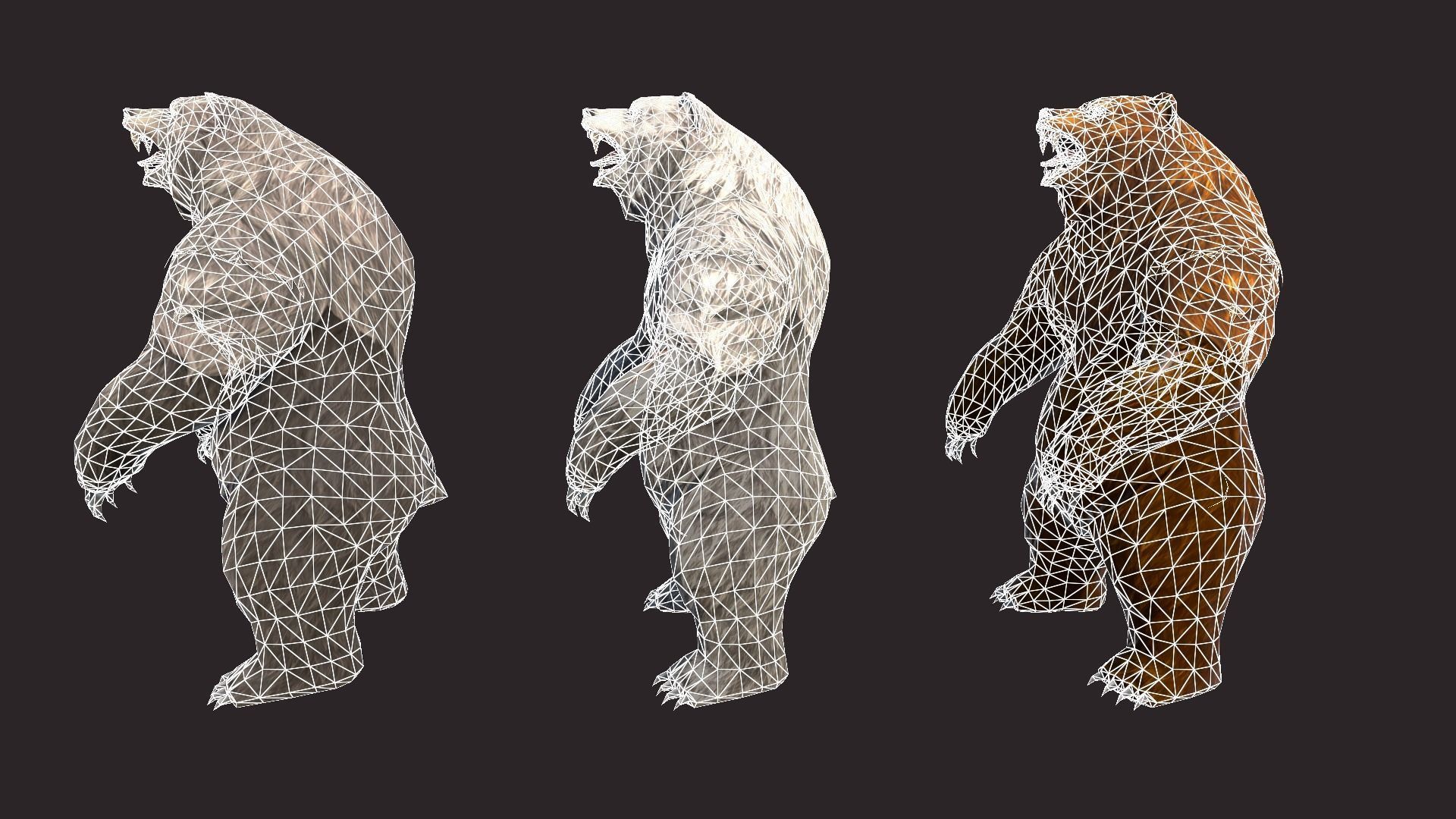 Bears bear Low-poly 3D model_15