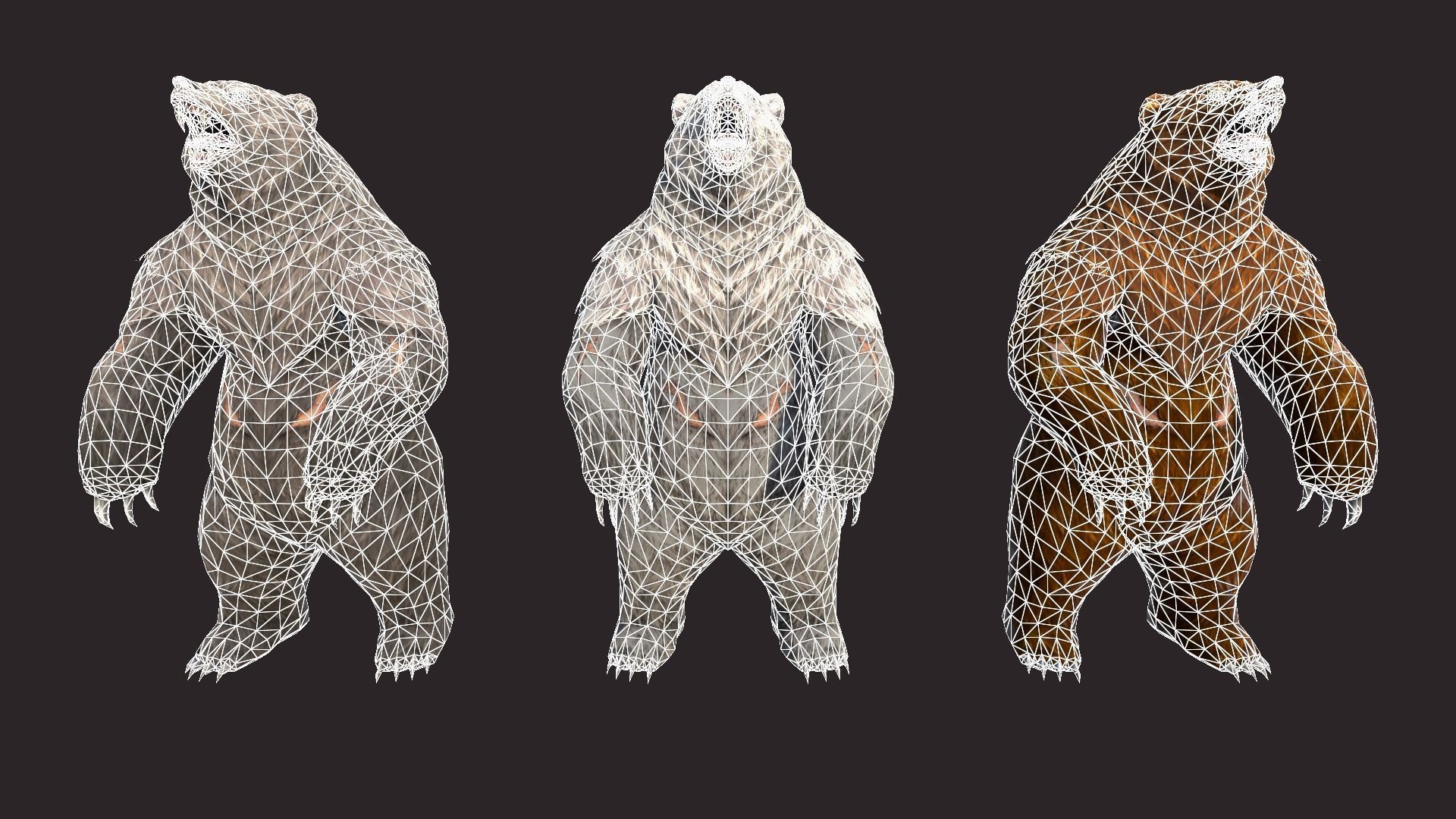 Bears bear Low-poly 3D model_13