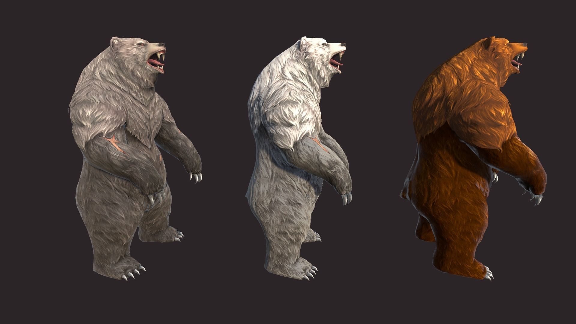 Bears bear Low-poly 3D model_11